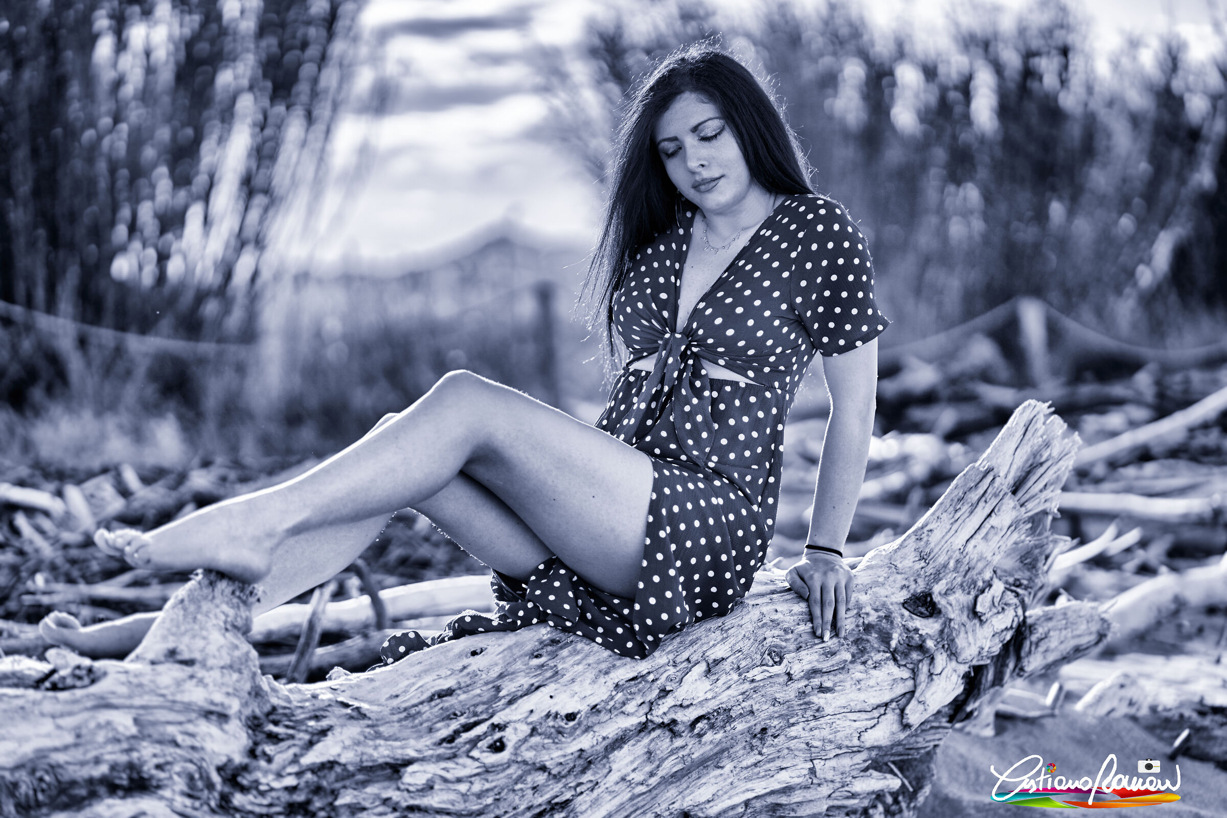 Denise 2