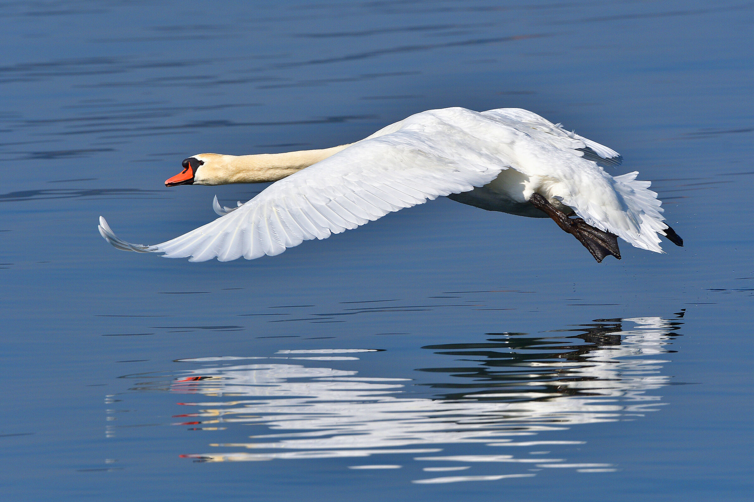 Further down you can't.