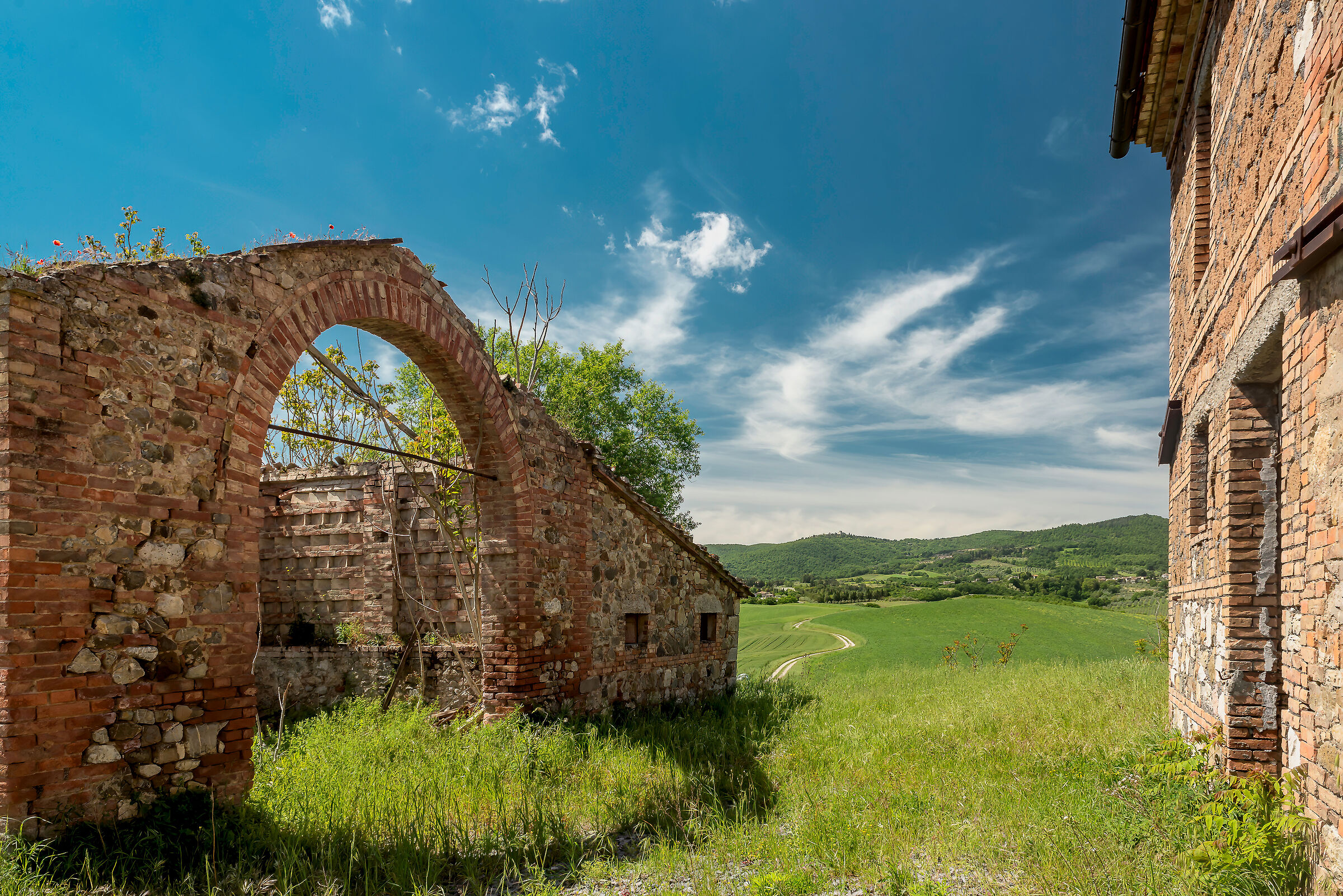 Umbrian countryside low