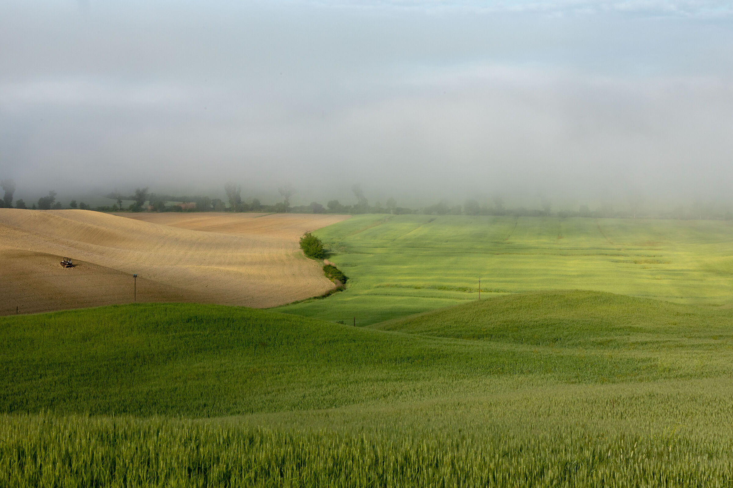 The Crete Senesi