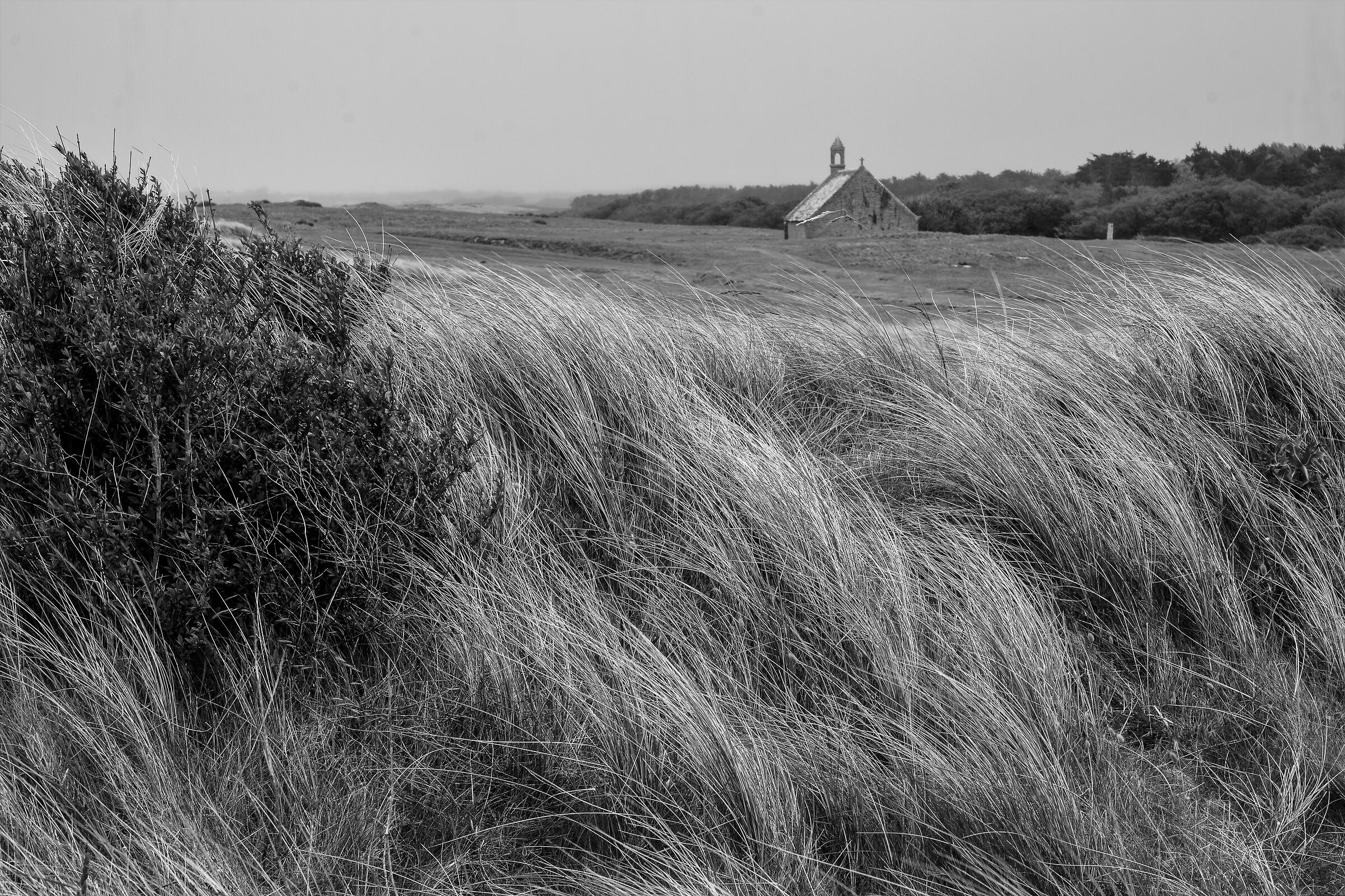 il vento fra le dune