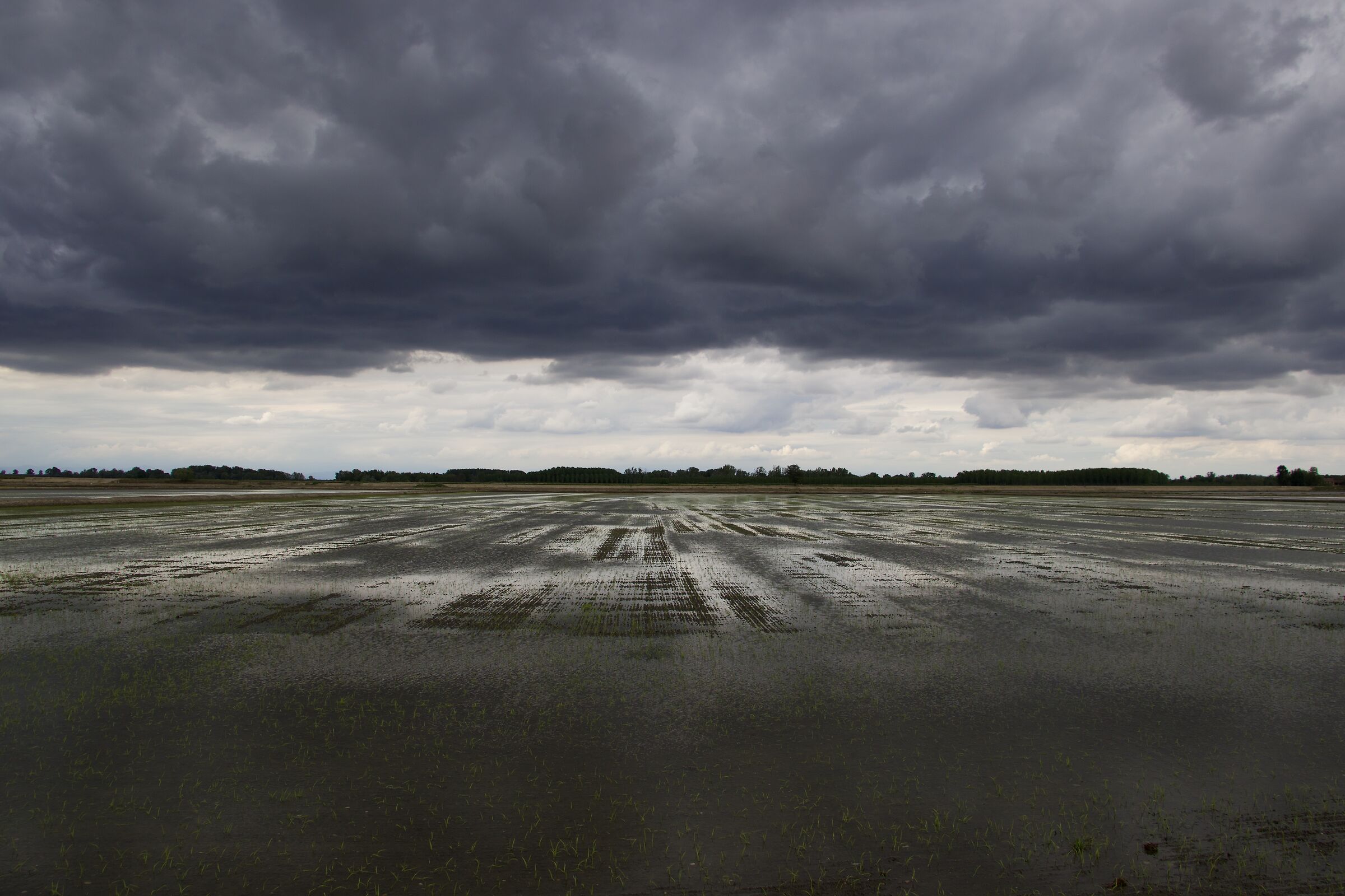 Piove, ma sul bagnato......