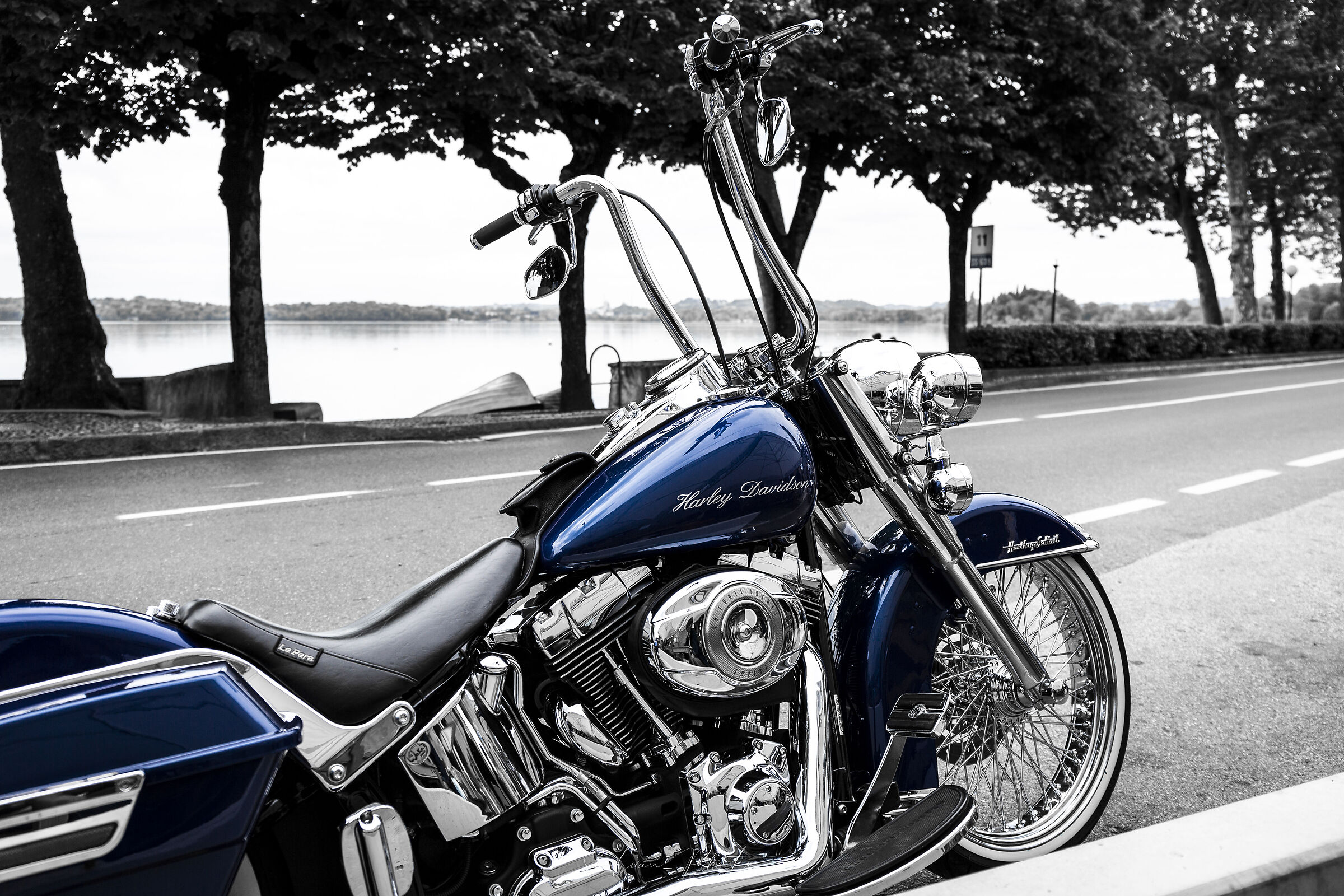 Harley...