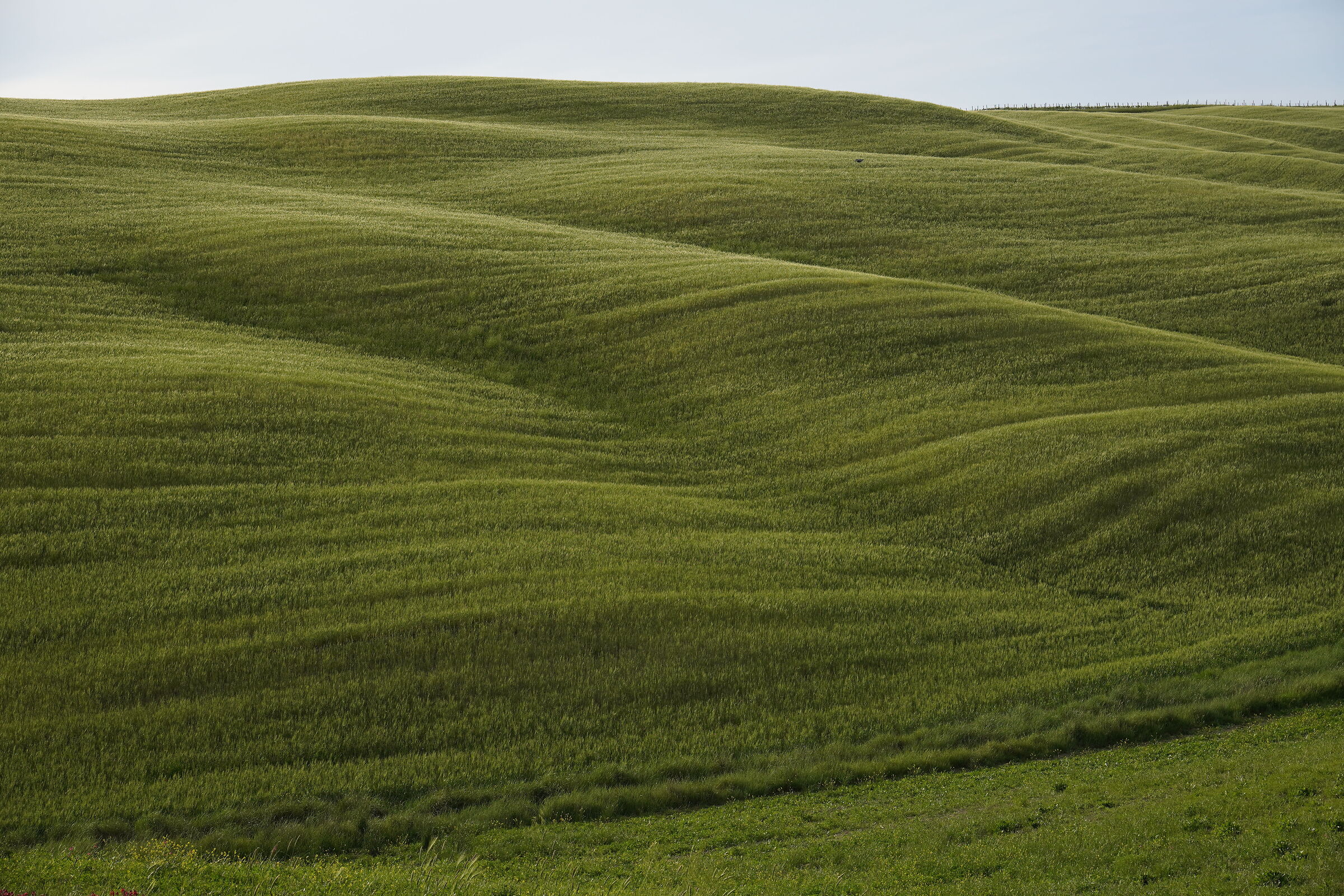 Val d'orcia