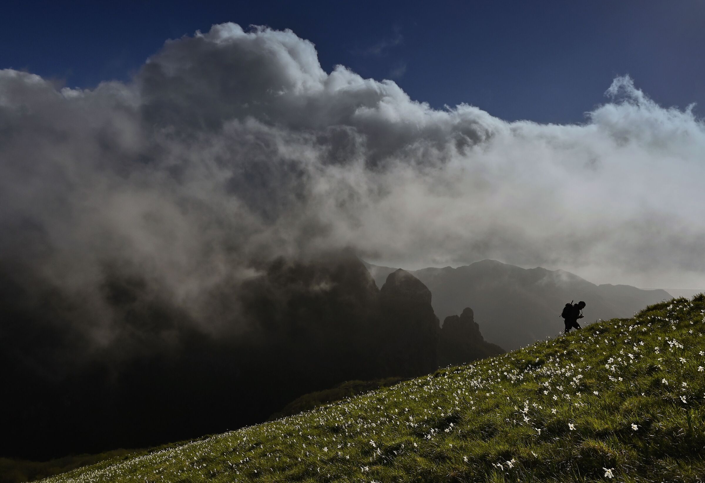 the Man and the Mountain