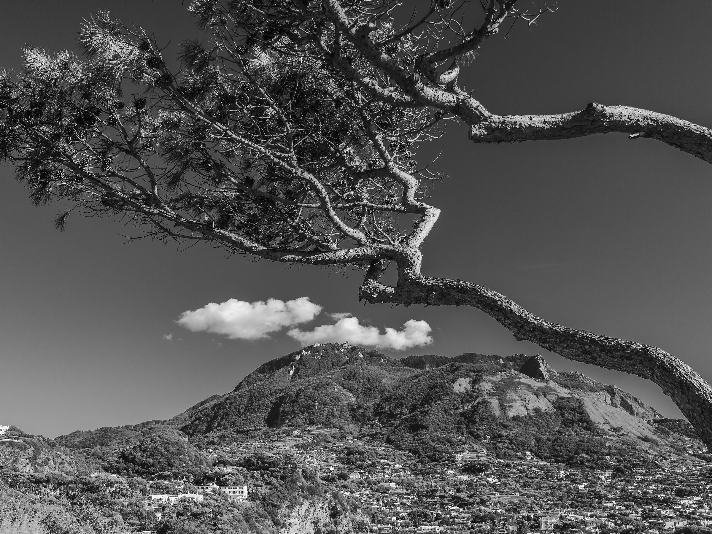 Ischia - Mount Epomeo