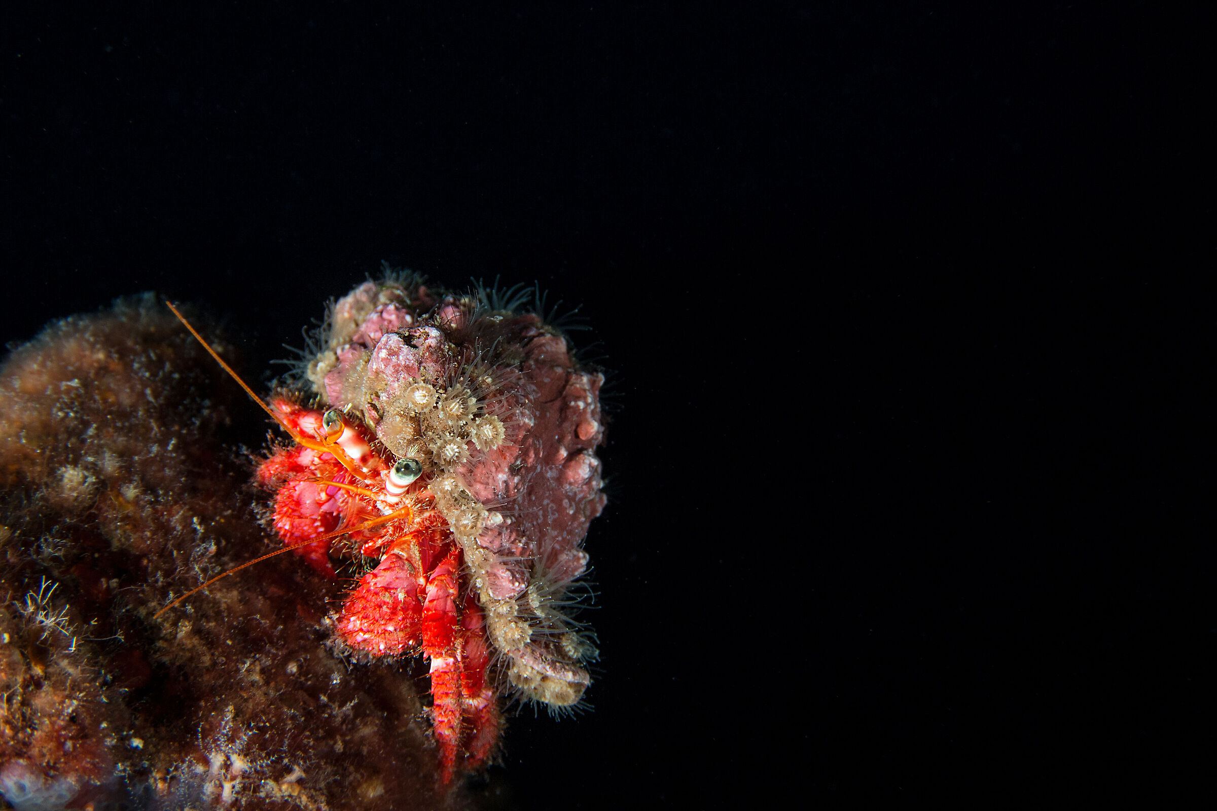 a spasso nella notte