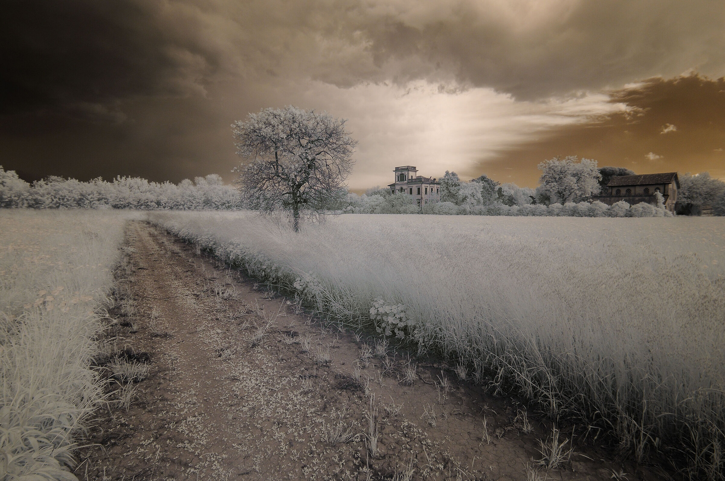 L'arrivo del temporale