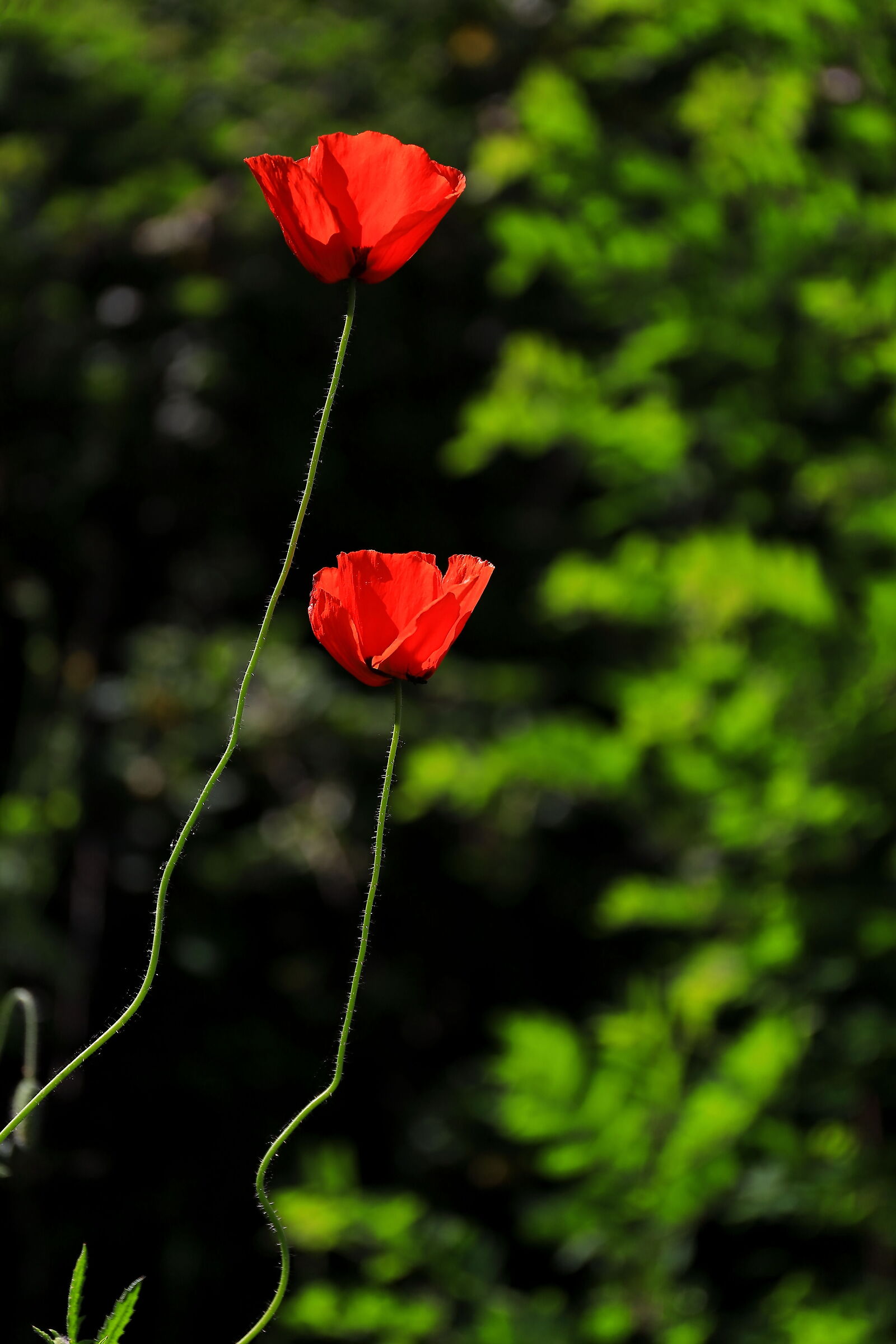 Vertical development