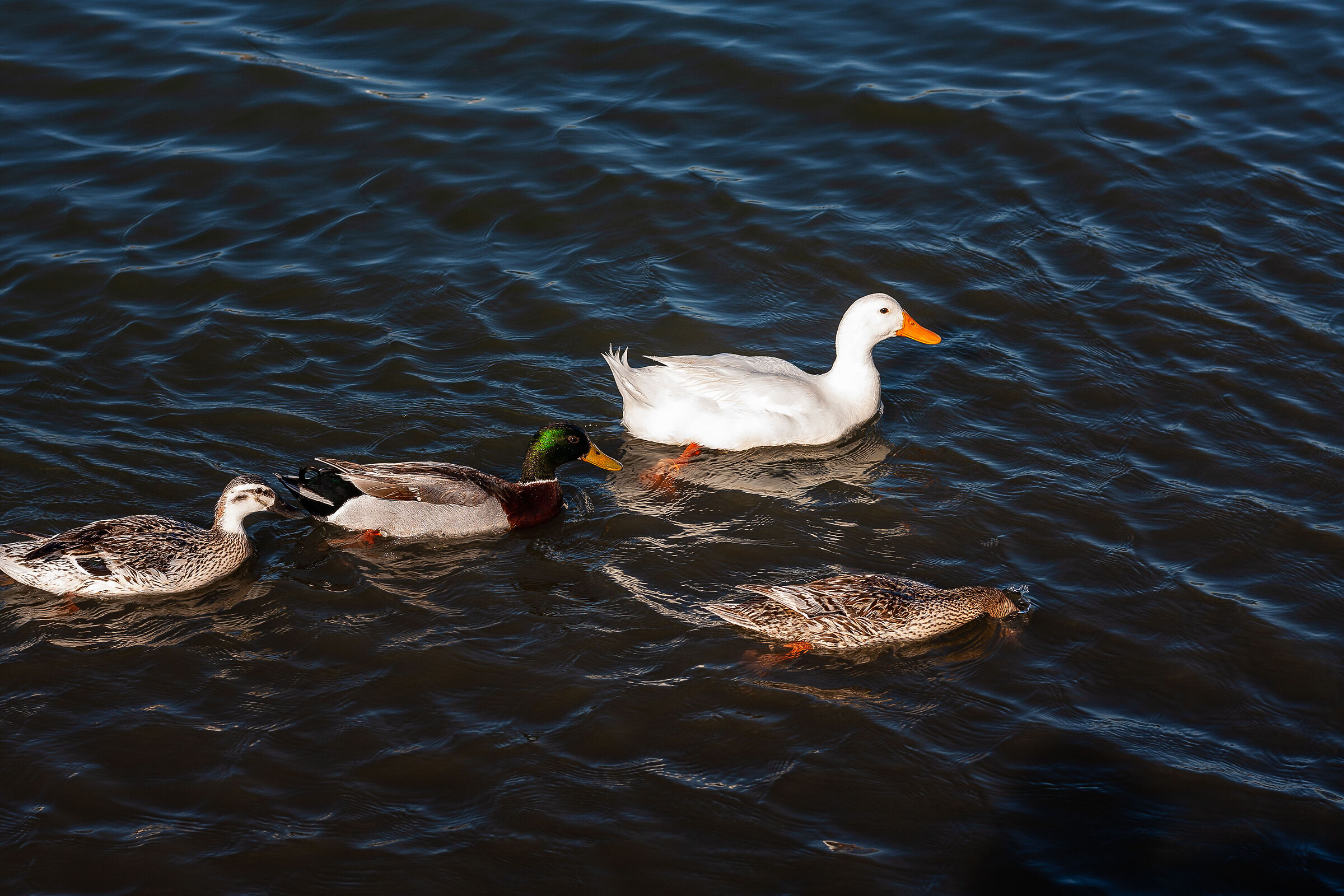 St. John Basin Tower