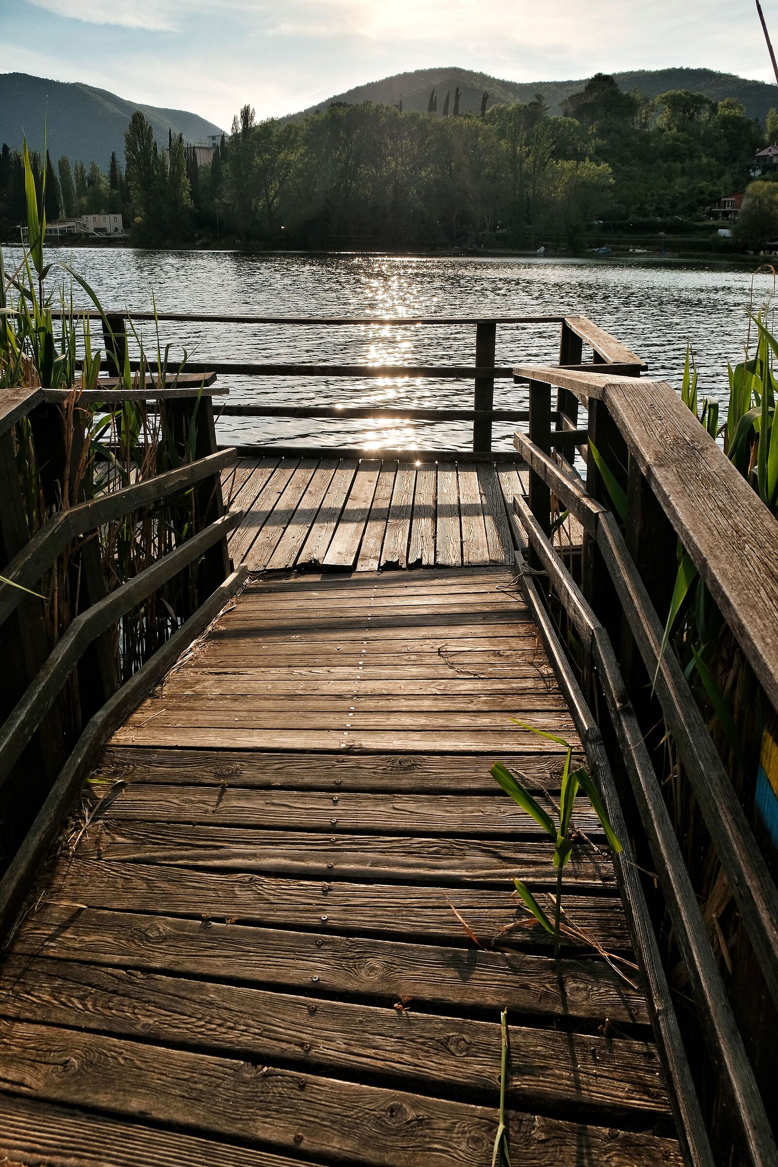 Bridge over the lake
