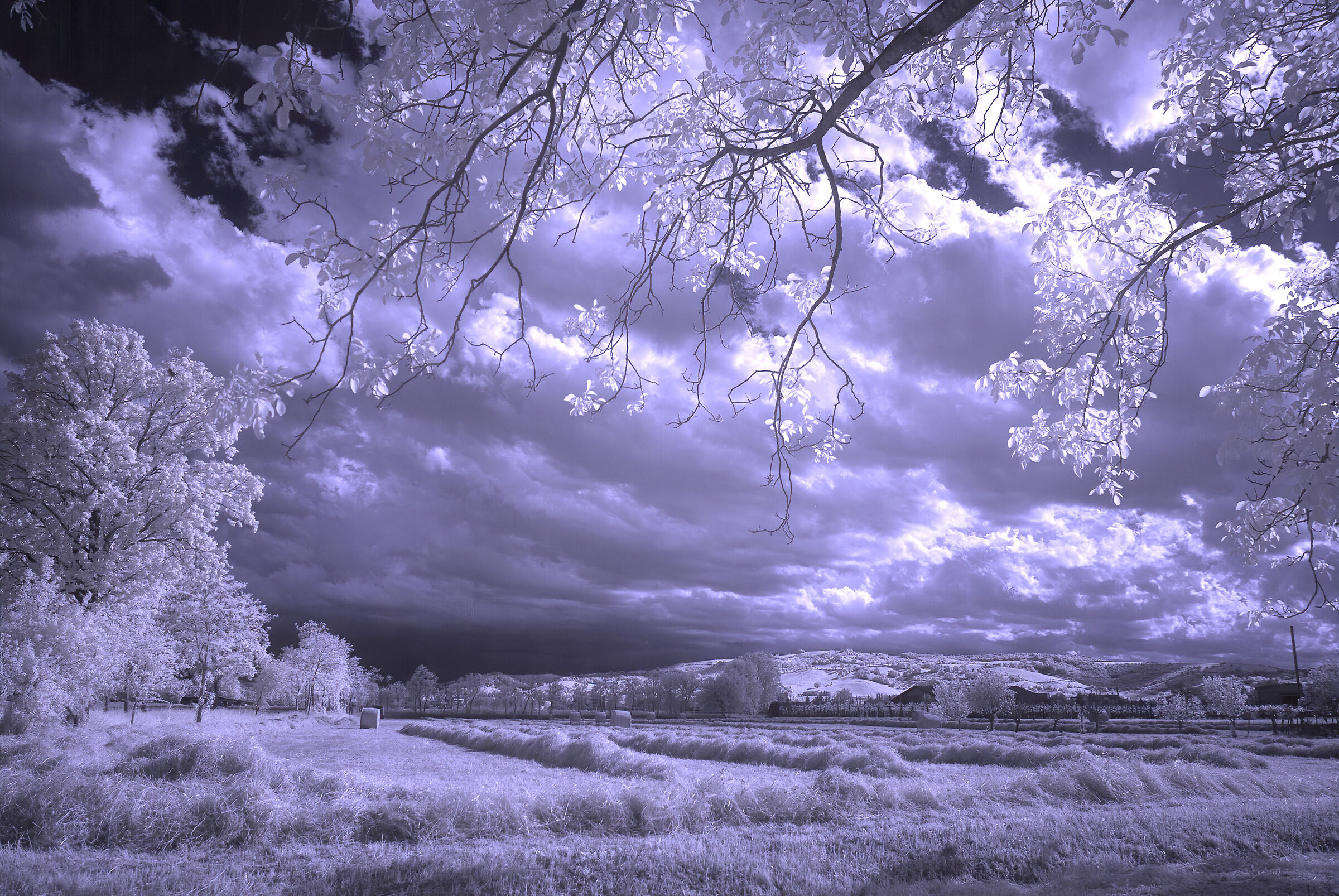 Tempo di fienagione (infrared)