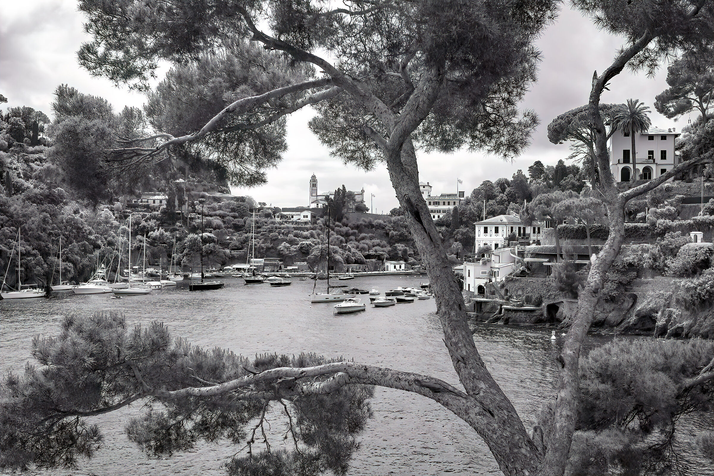 I left my heart in Portofino