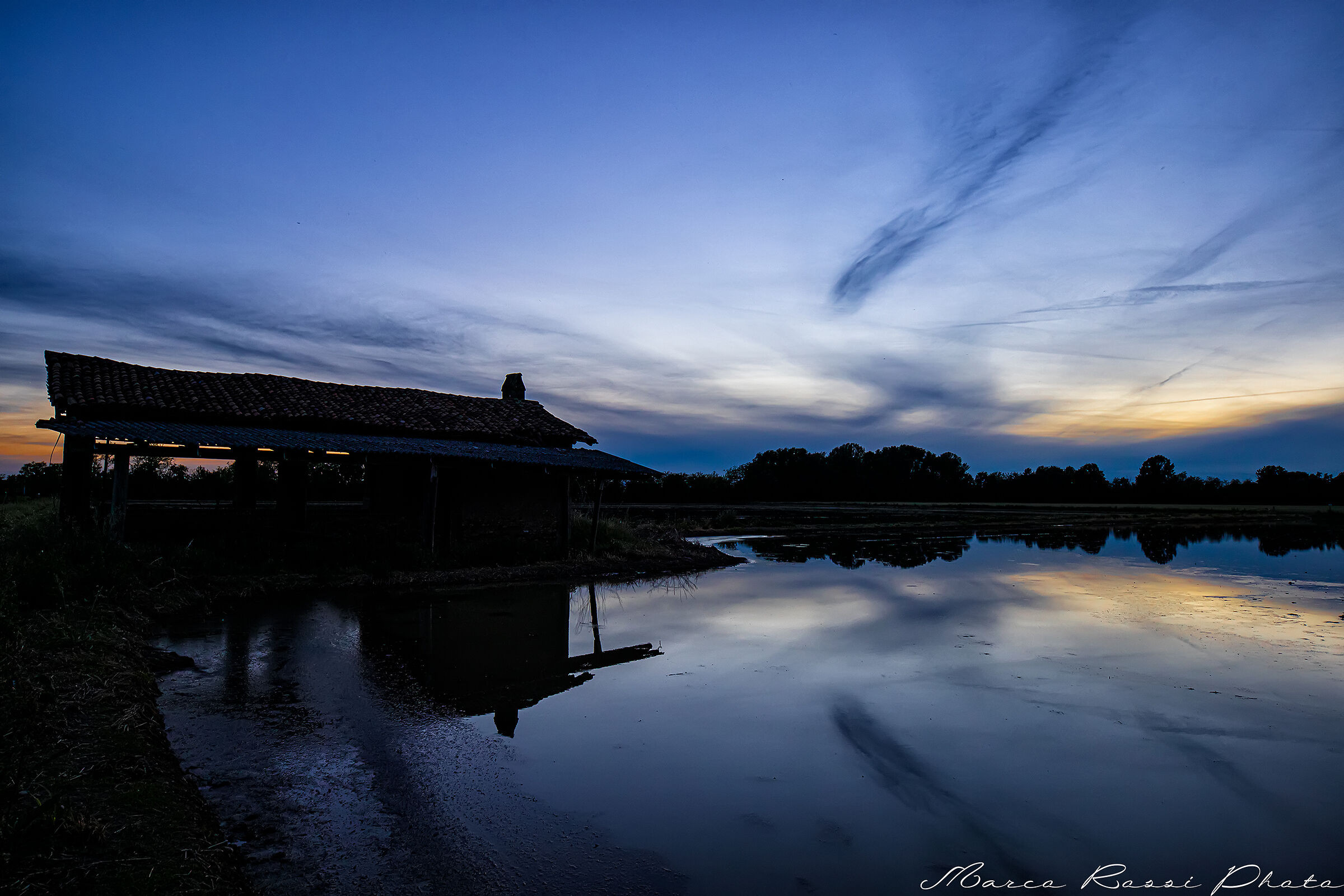 rice fields