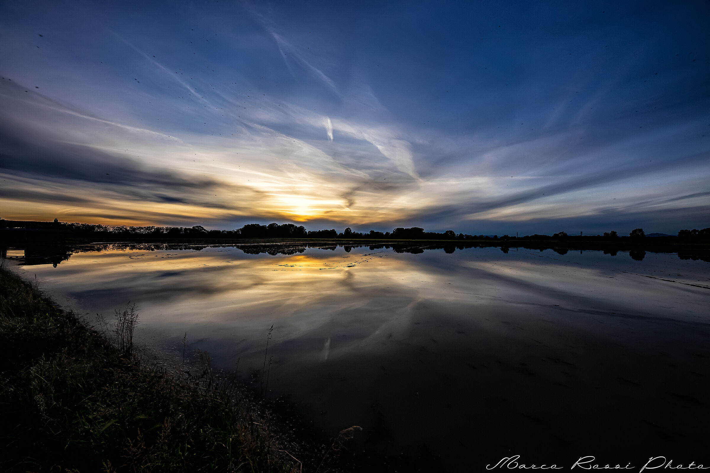 Sunset in rice paddy