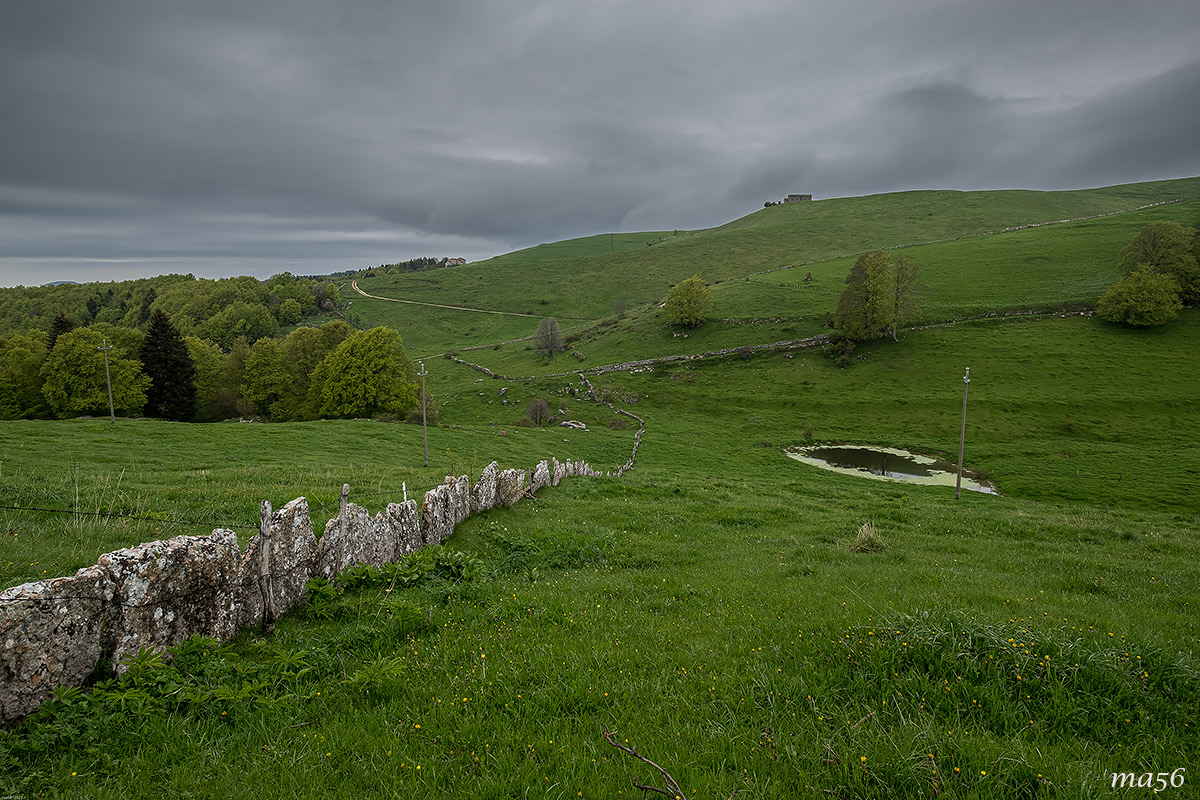 Lexinia - St. George