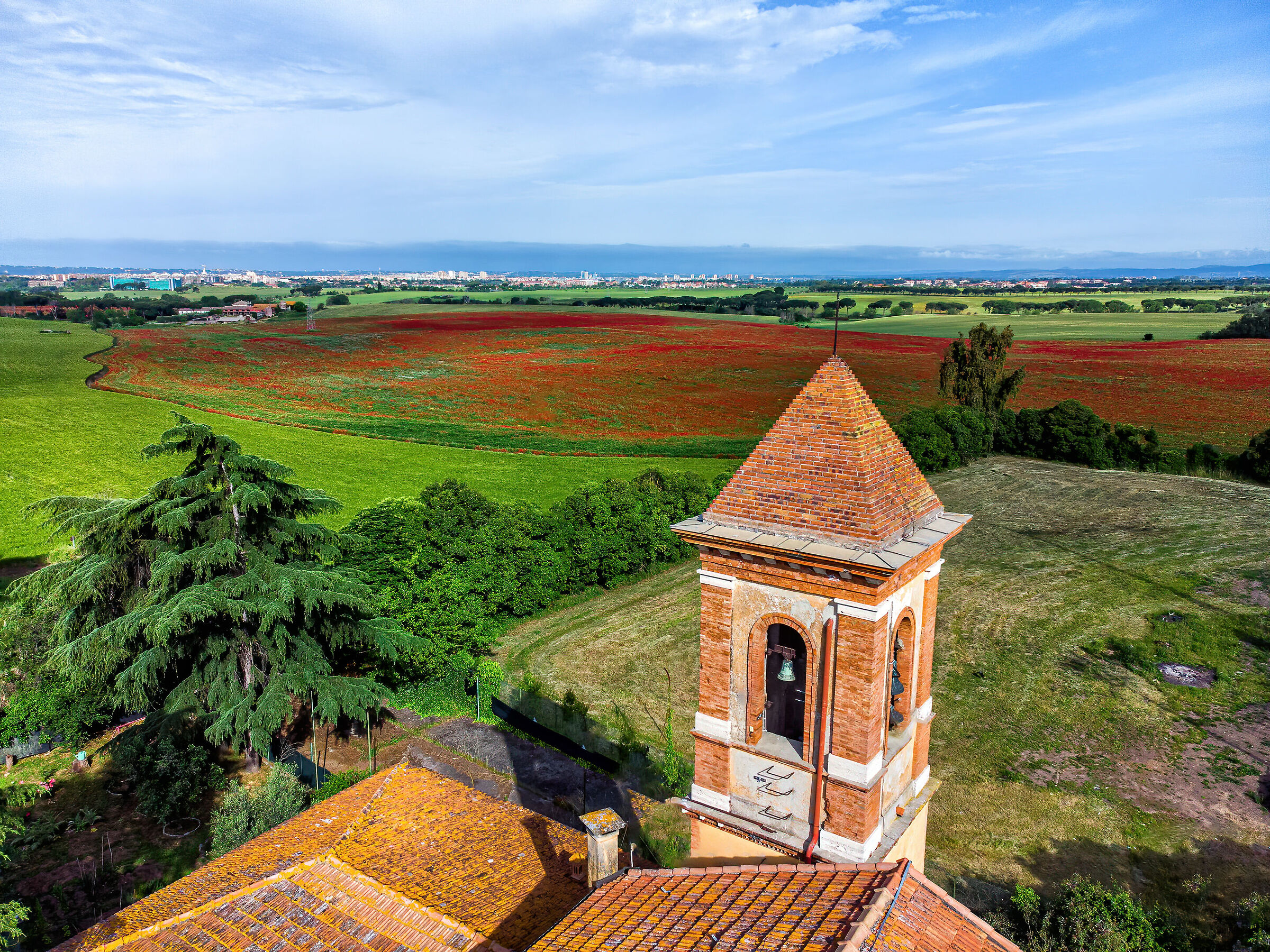 The little church and the poppy field