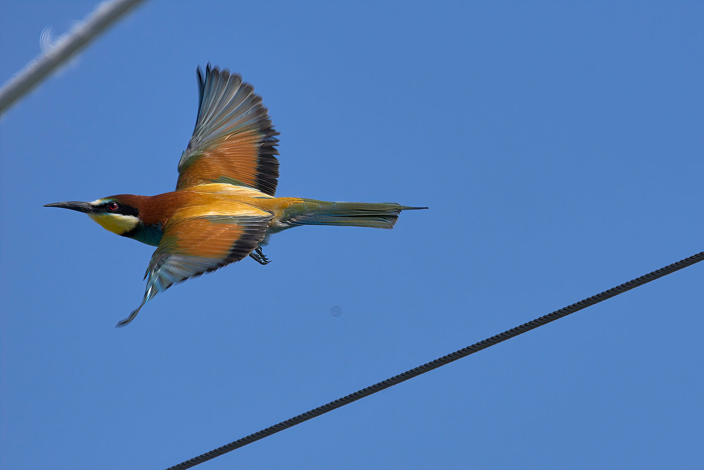 United Colors of Sky
