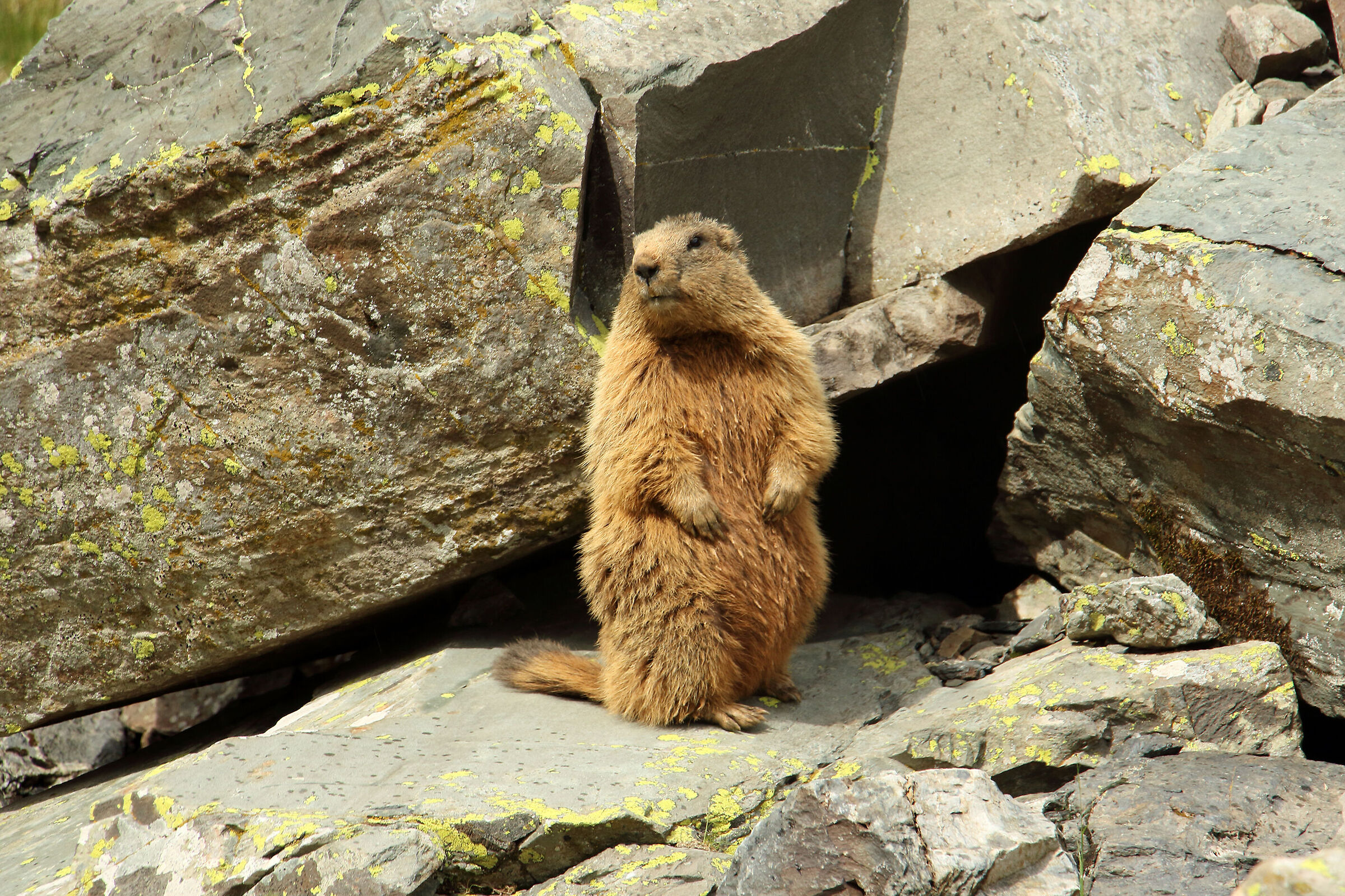 ...e questa è casa mia