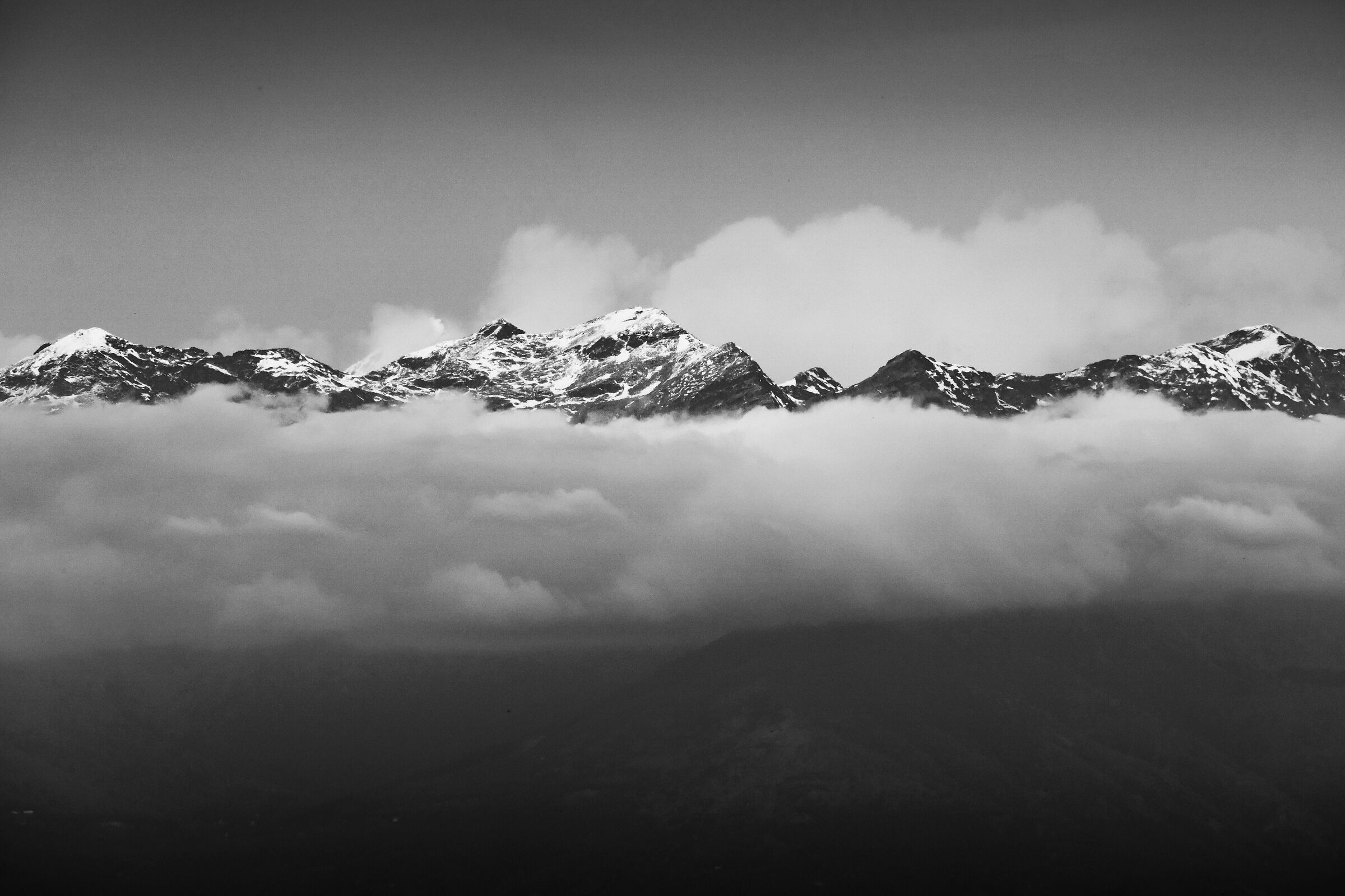 Alpi