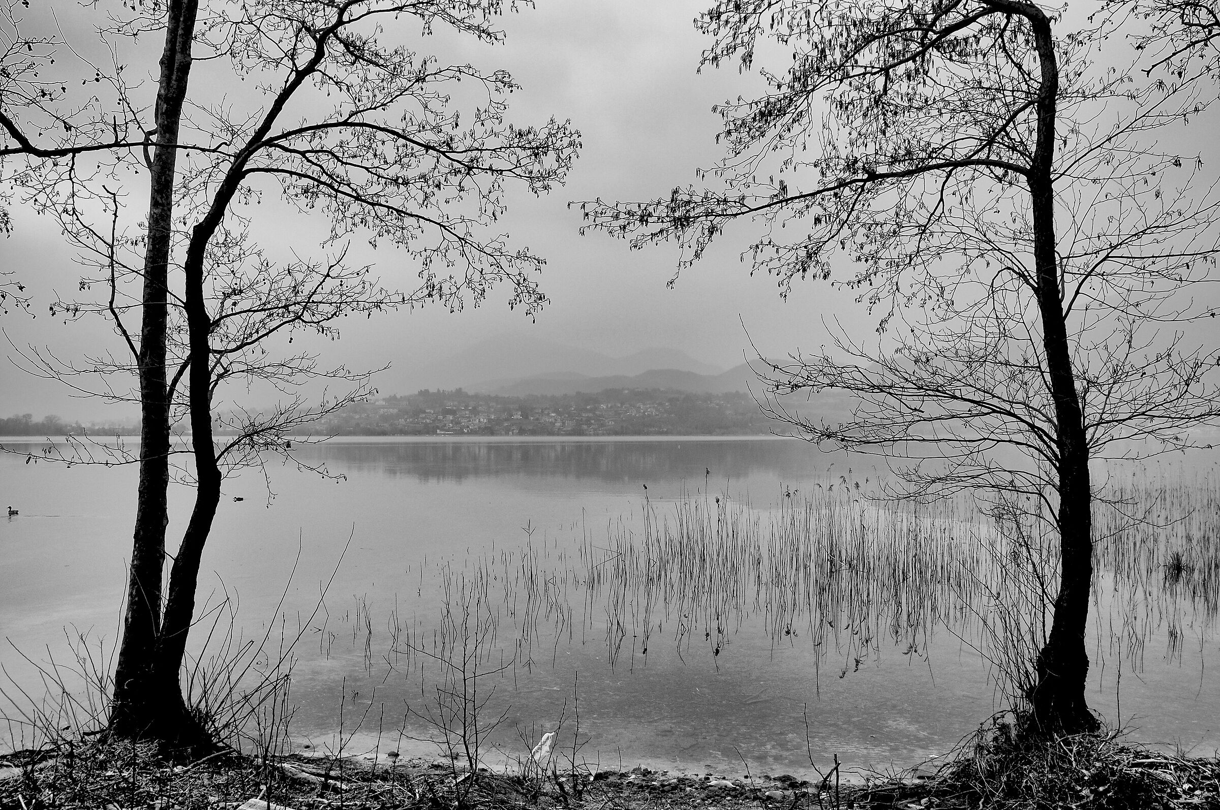 Pusian lake bw