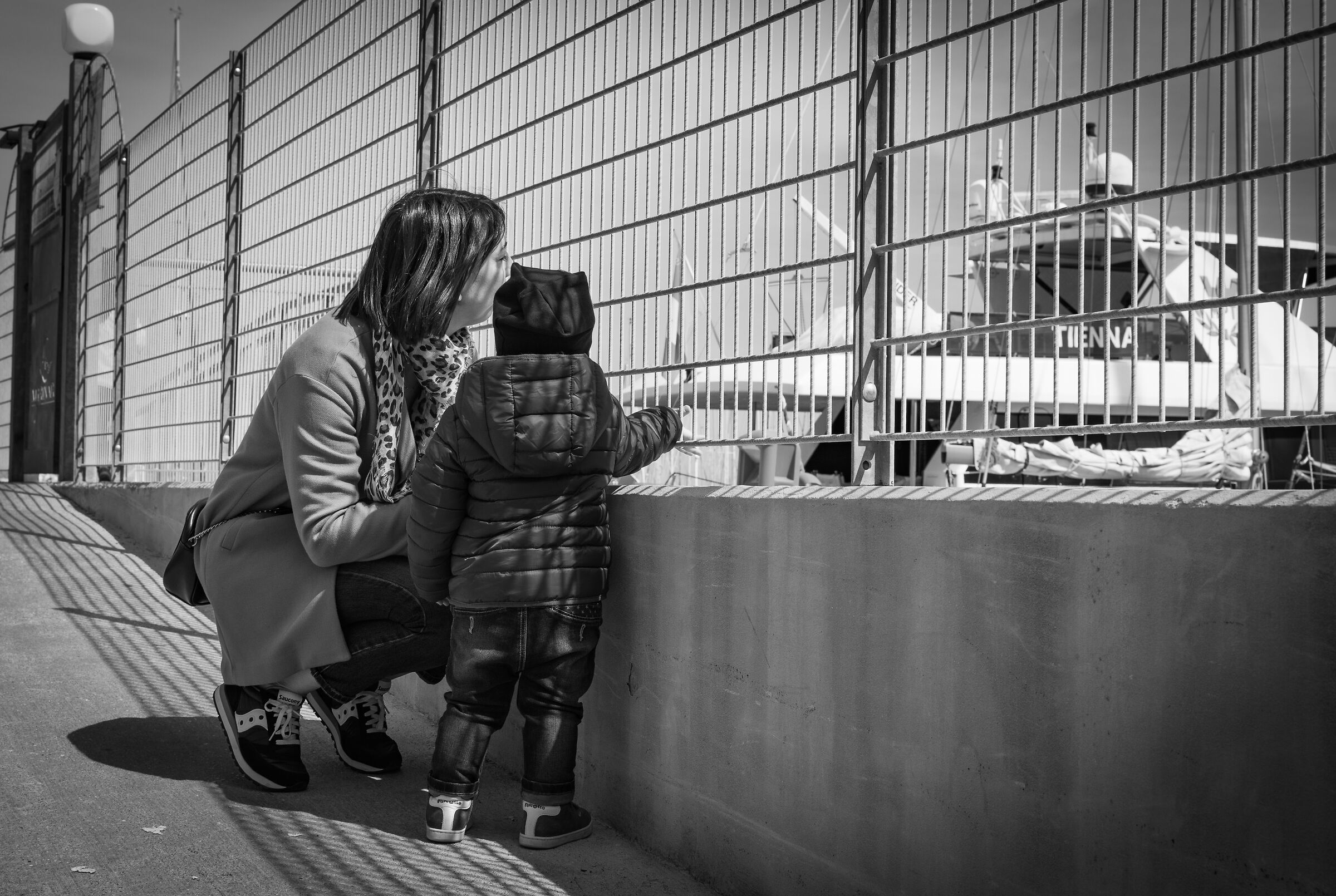 Every day a discovery