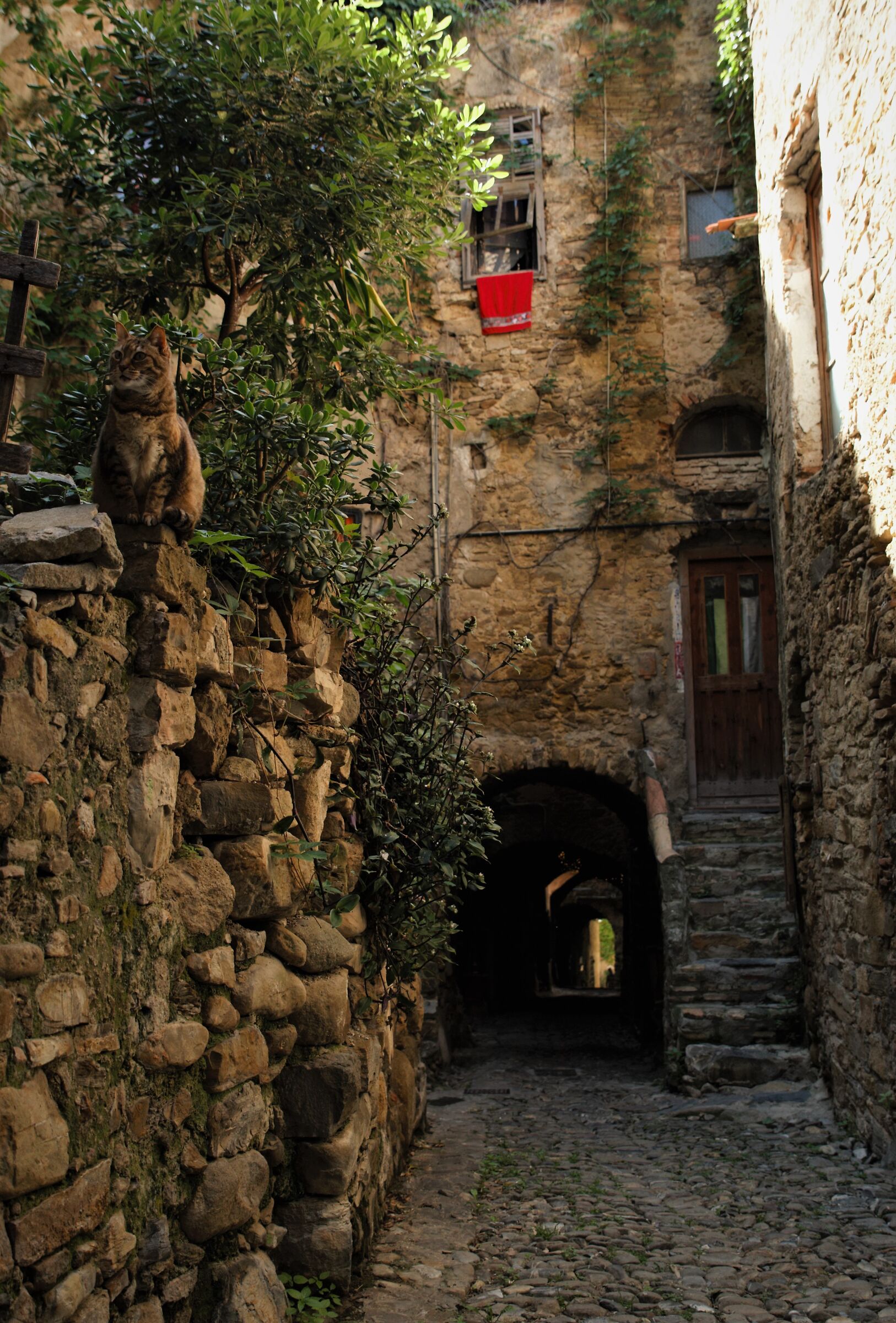 bussana vecchia...tipici carruggi liguri