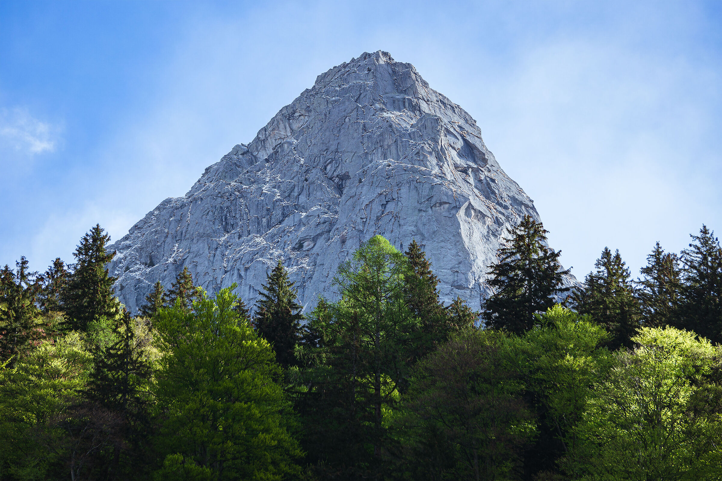 Spring in Val Masino