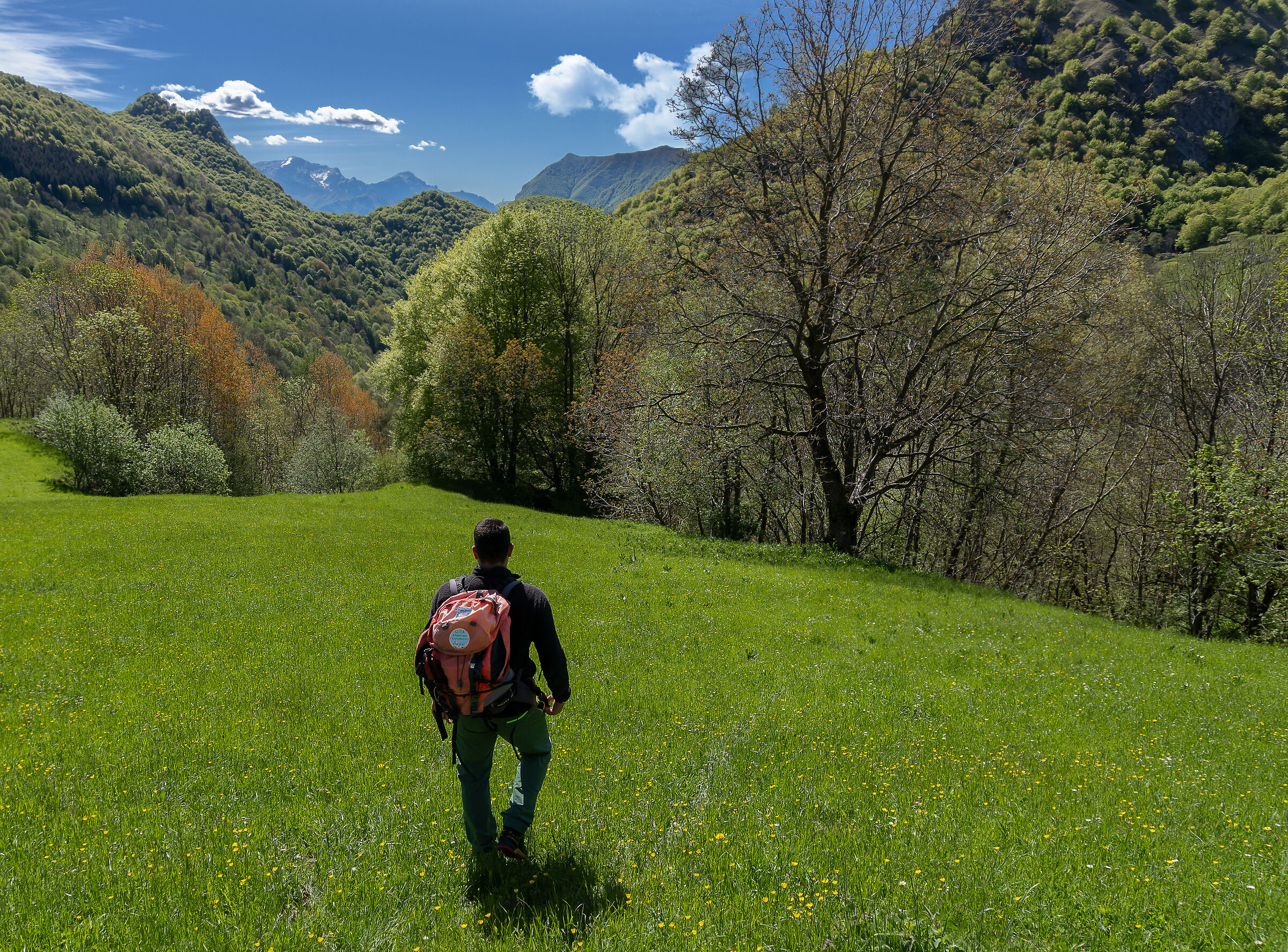 Going into the nature