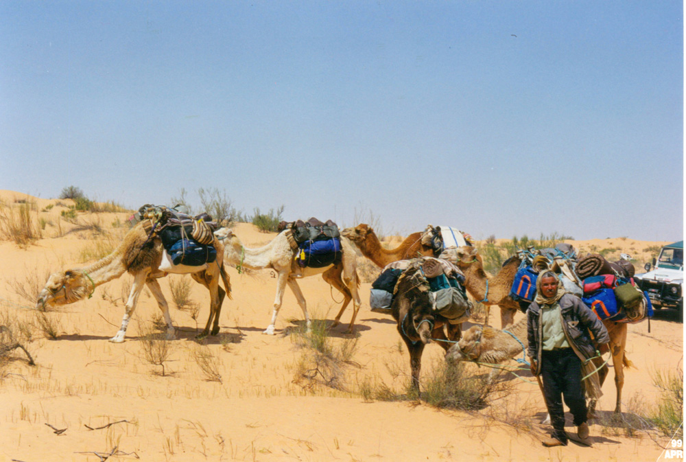 Carovana - Tunisia 1999