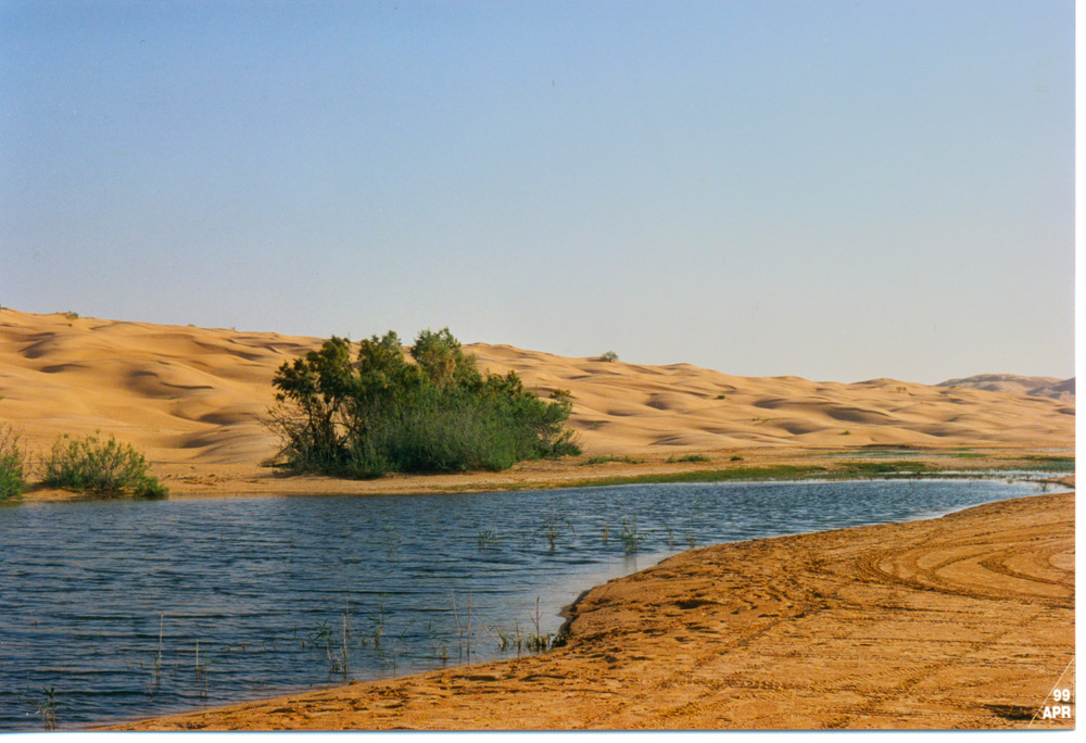Grande Erg - Tunisia 1999
