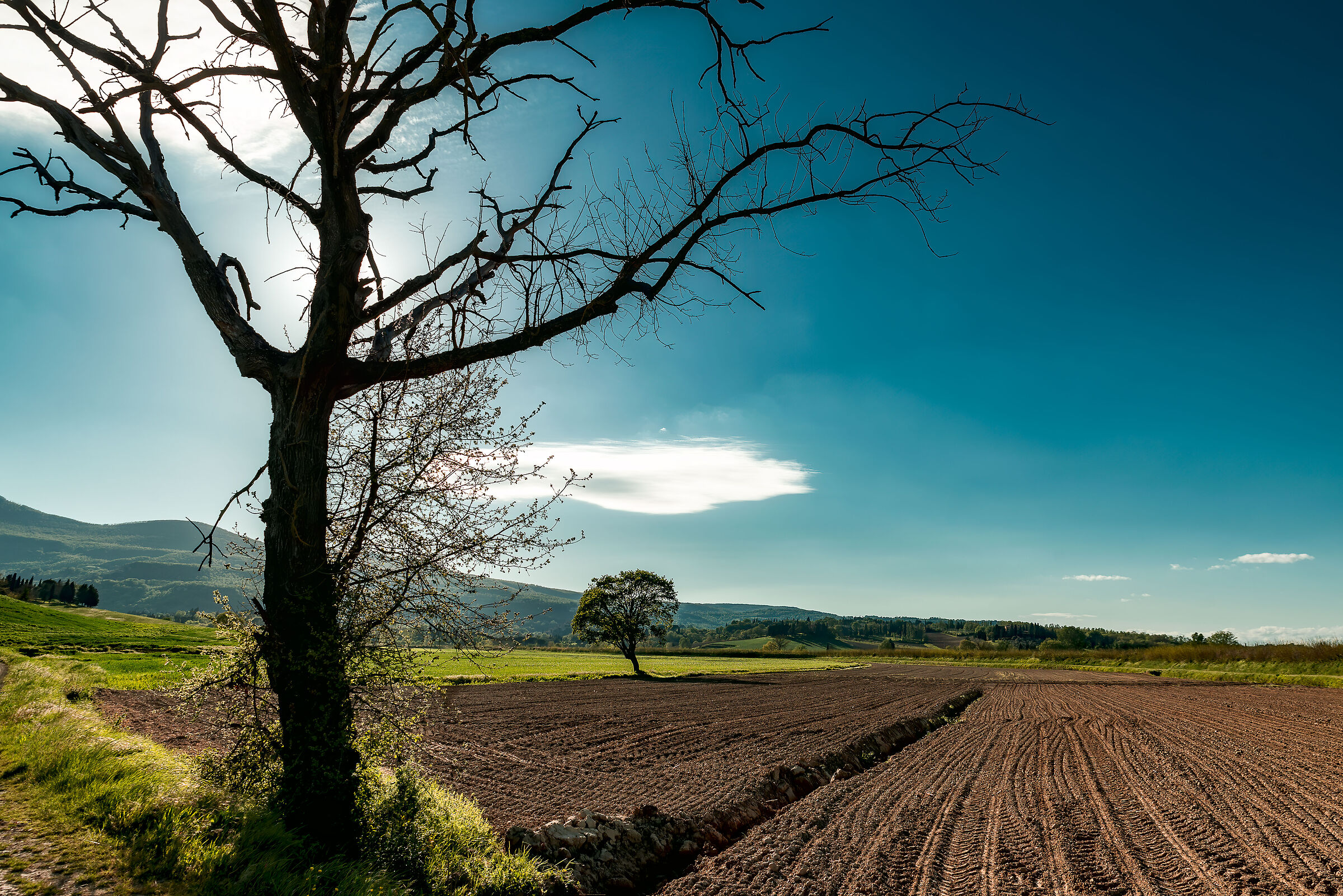 Umbrian/Tuscan countryside low