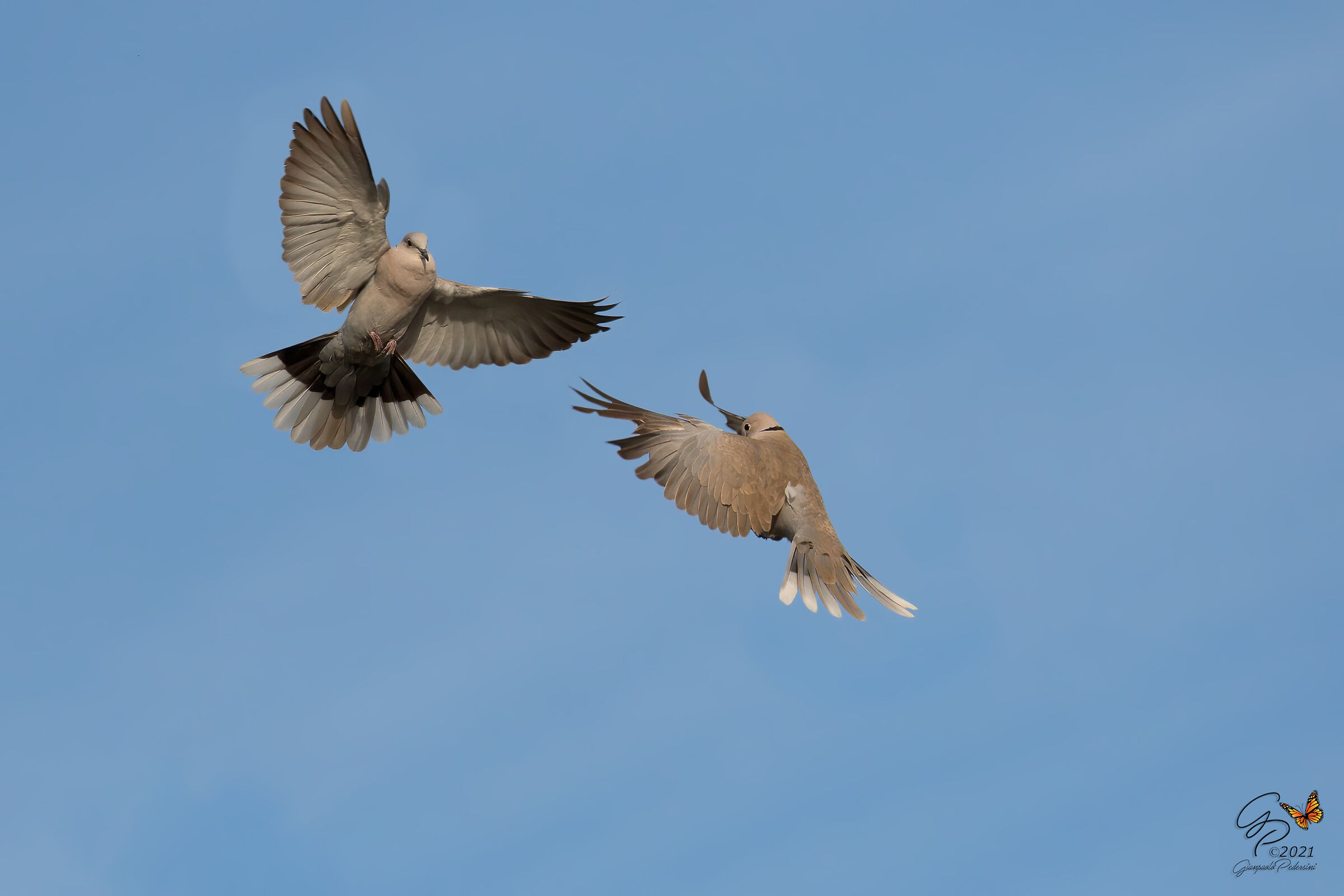 The Quarrel (2)