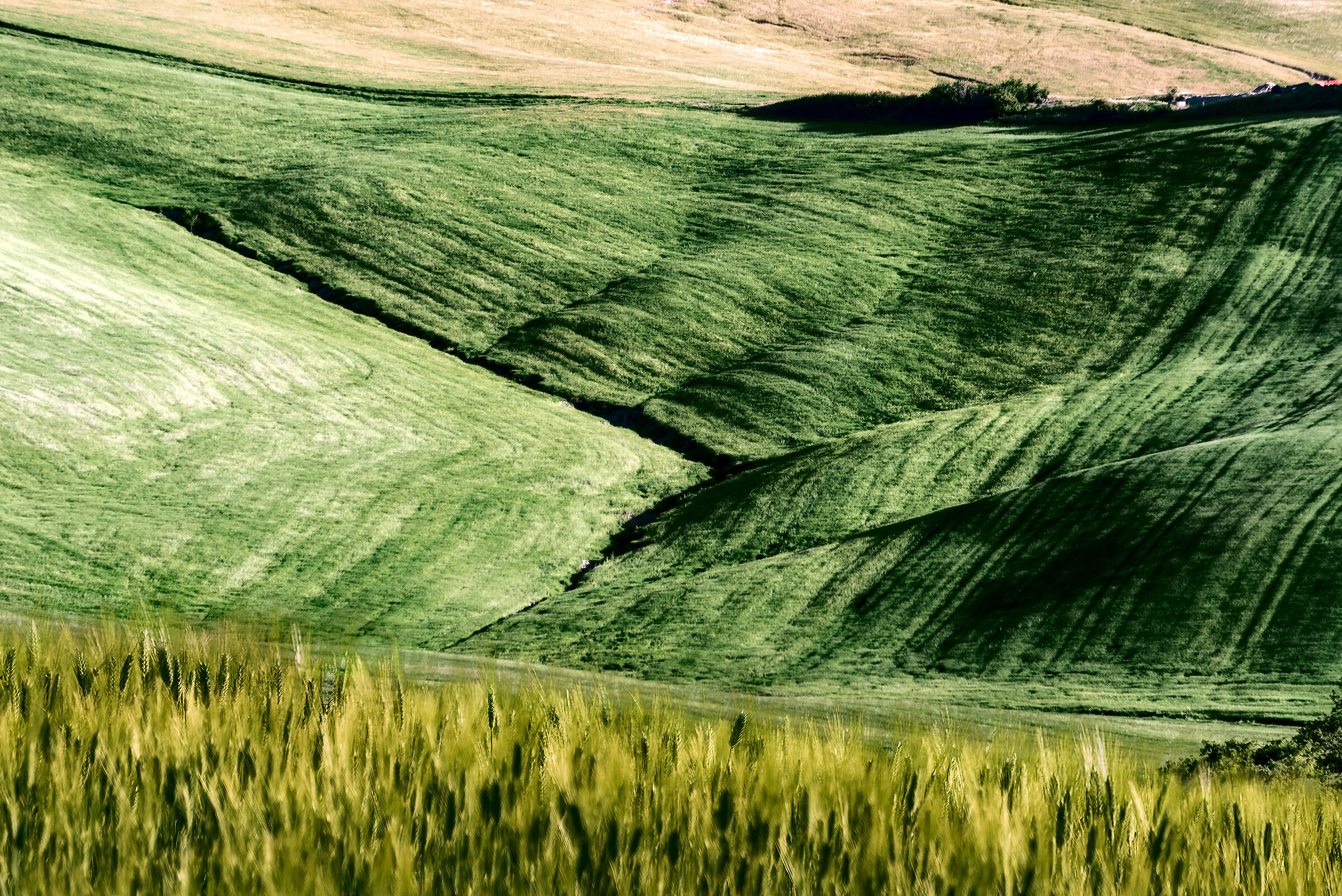 colori di campagna sotto radicofani(si)