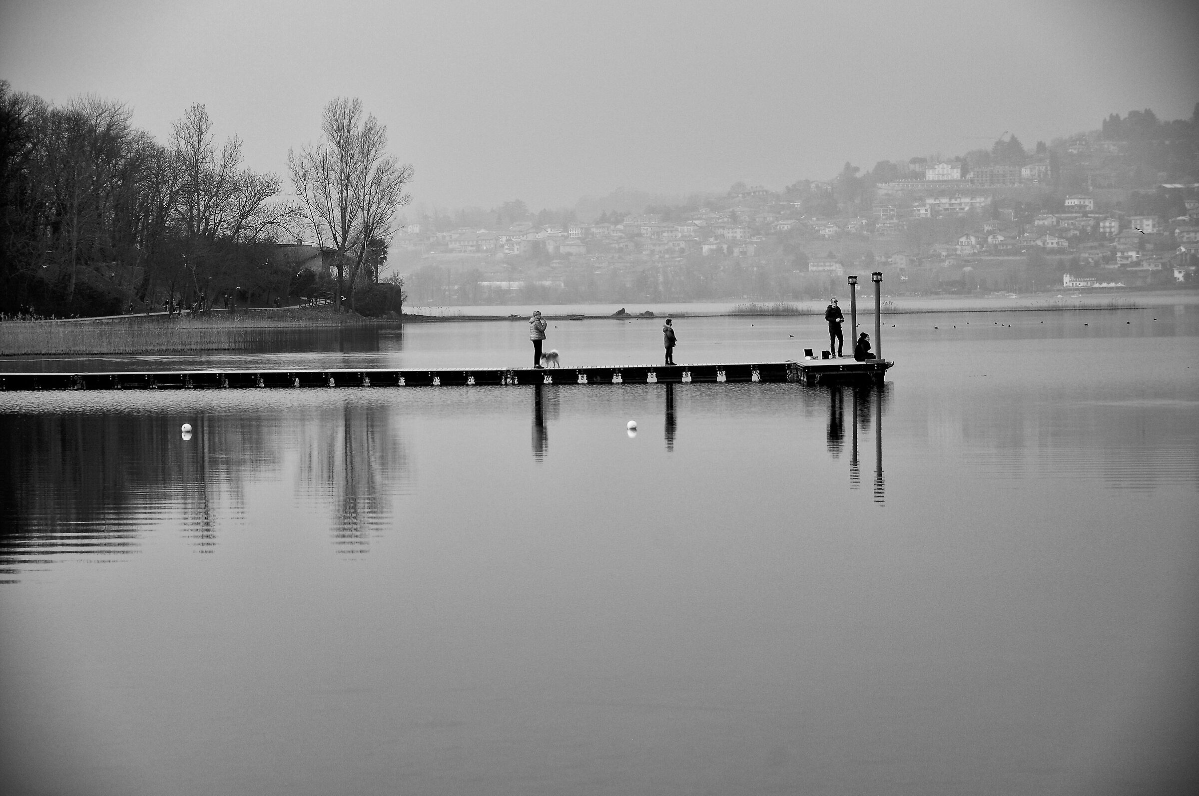 Pusiano lake bw