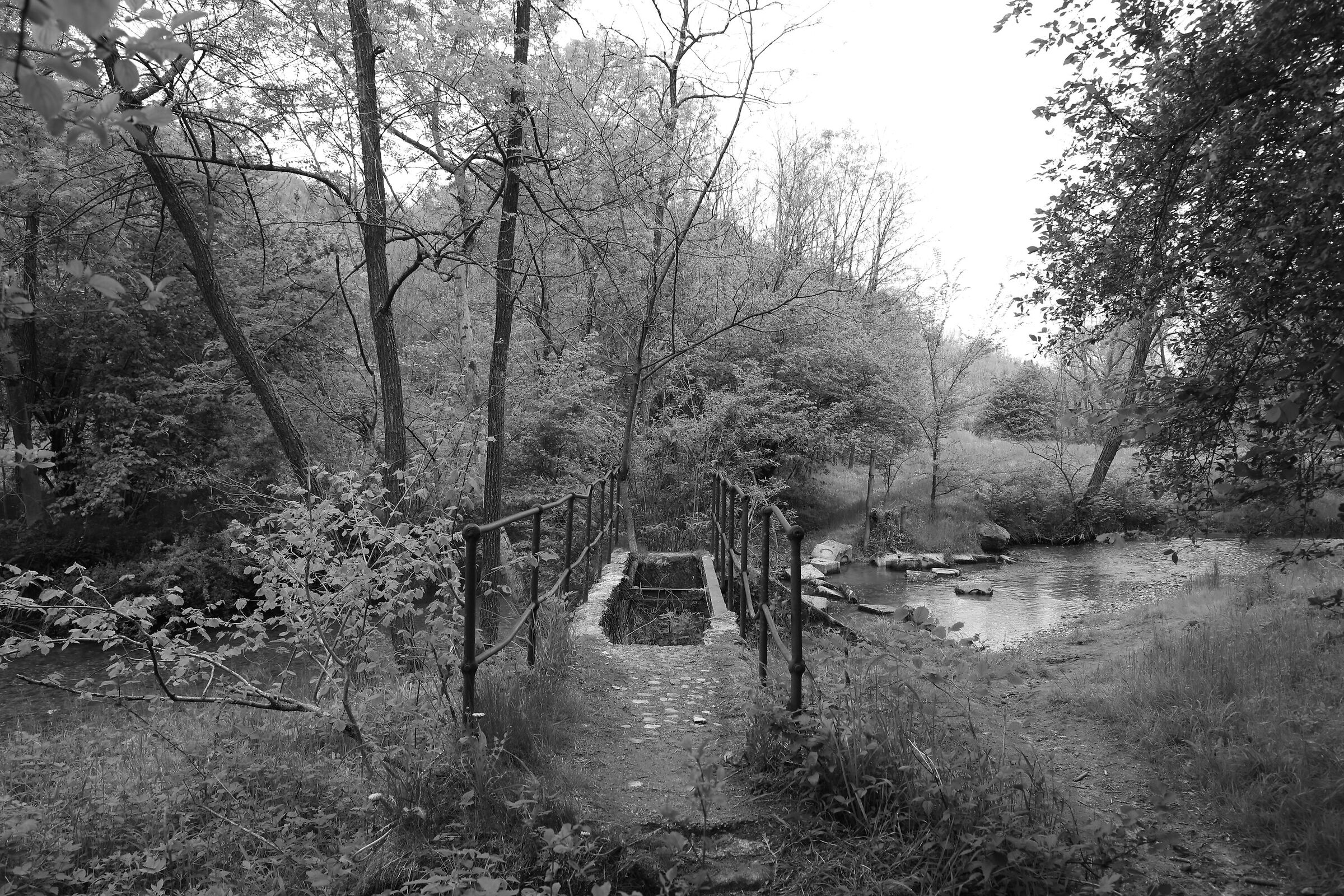 Molera Quarry - Disintegled Jumper