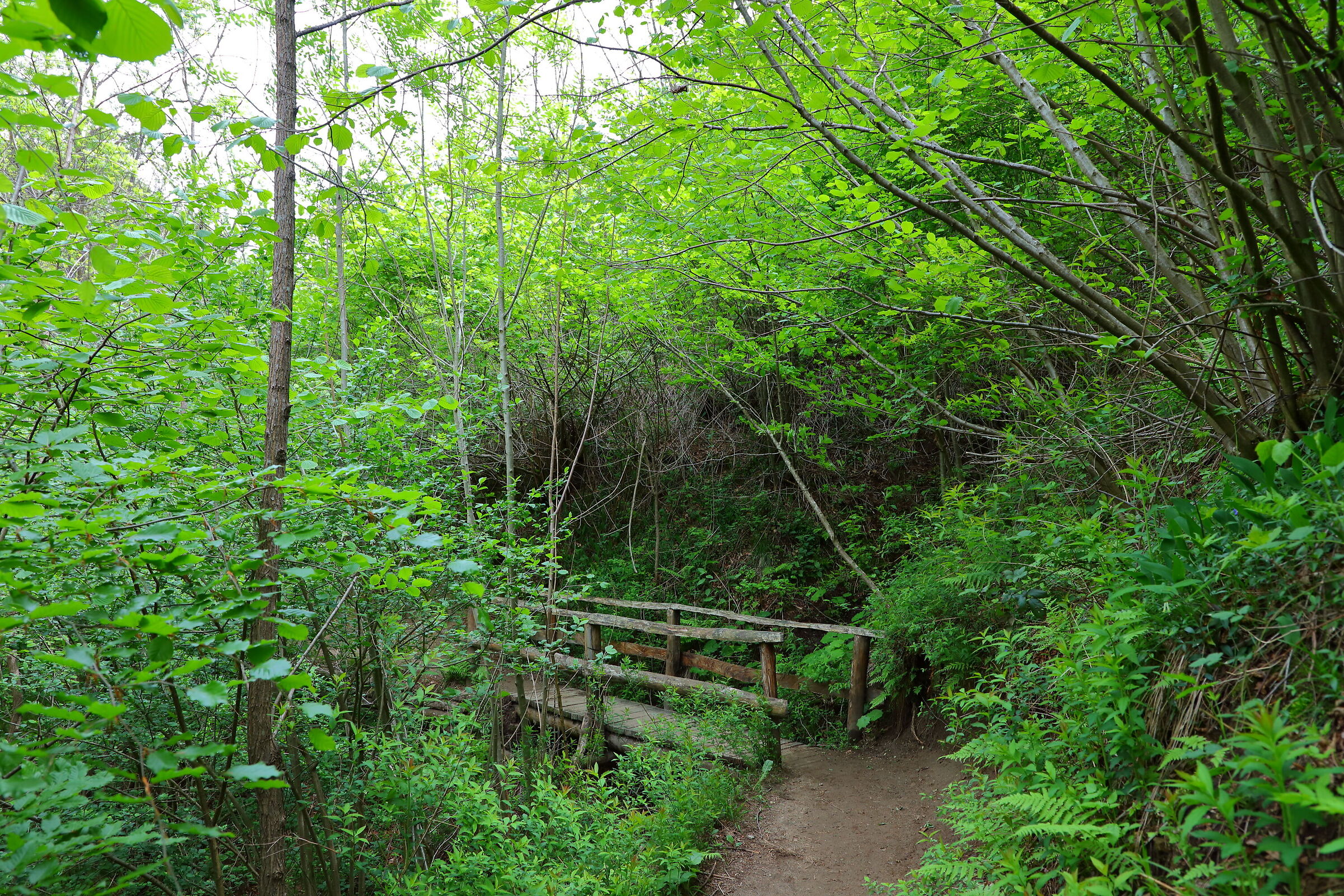 Molera Quarry - Jumper