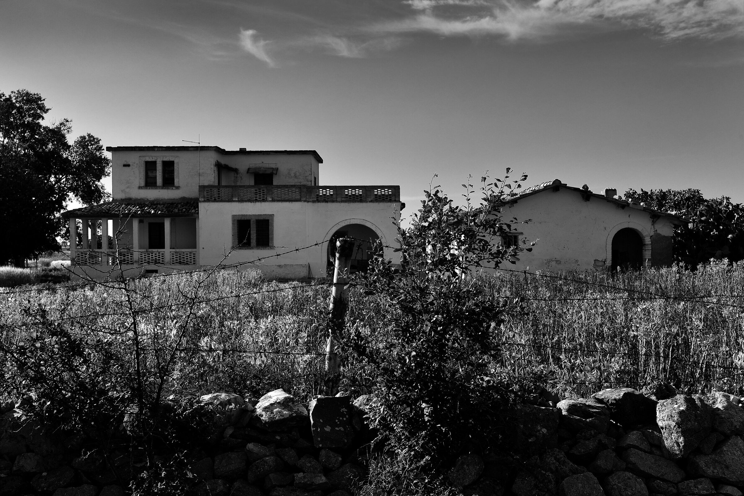 Podere