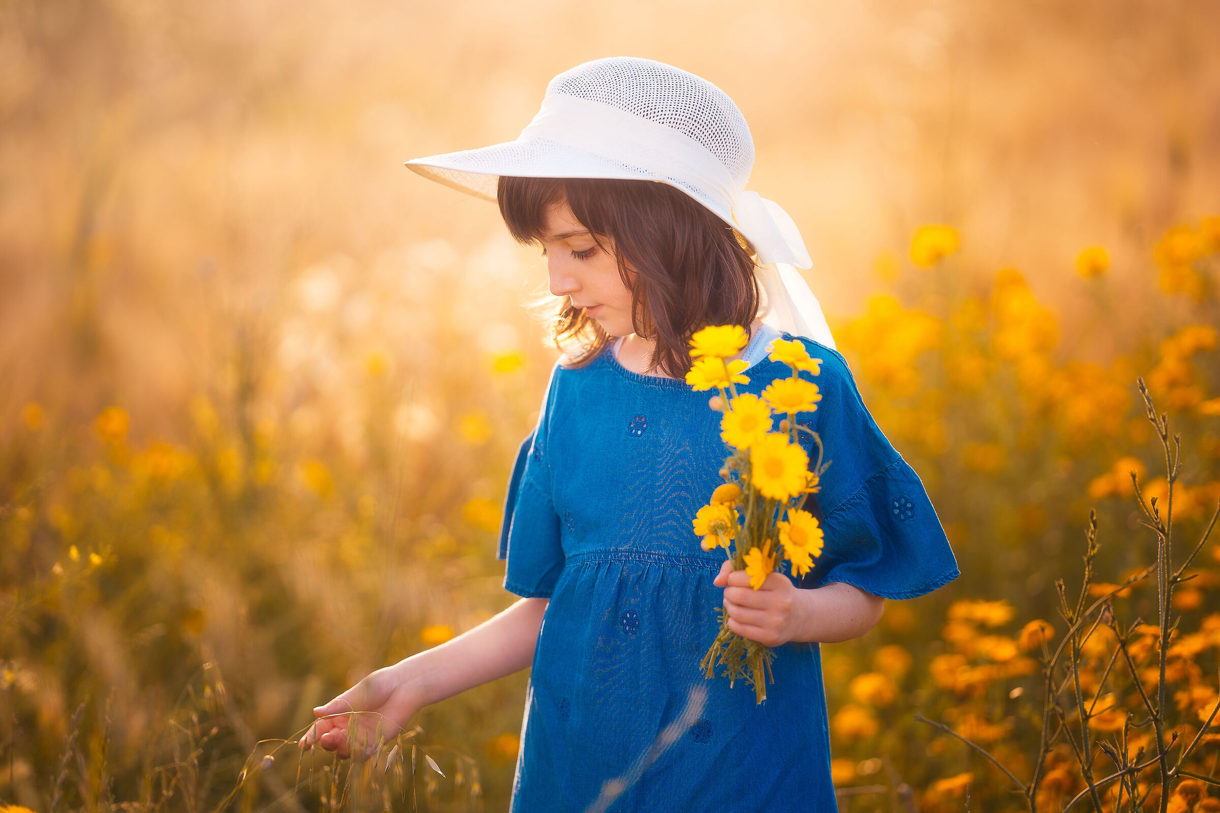 :: into yellow flowers ::