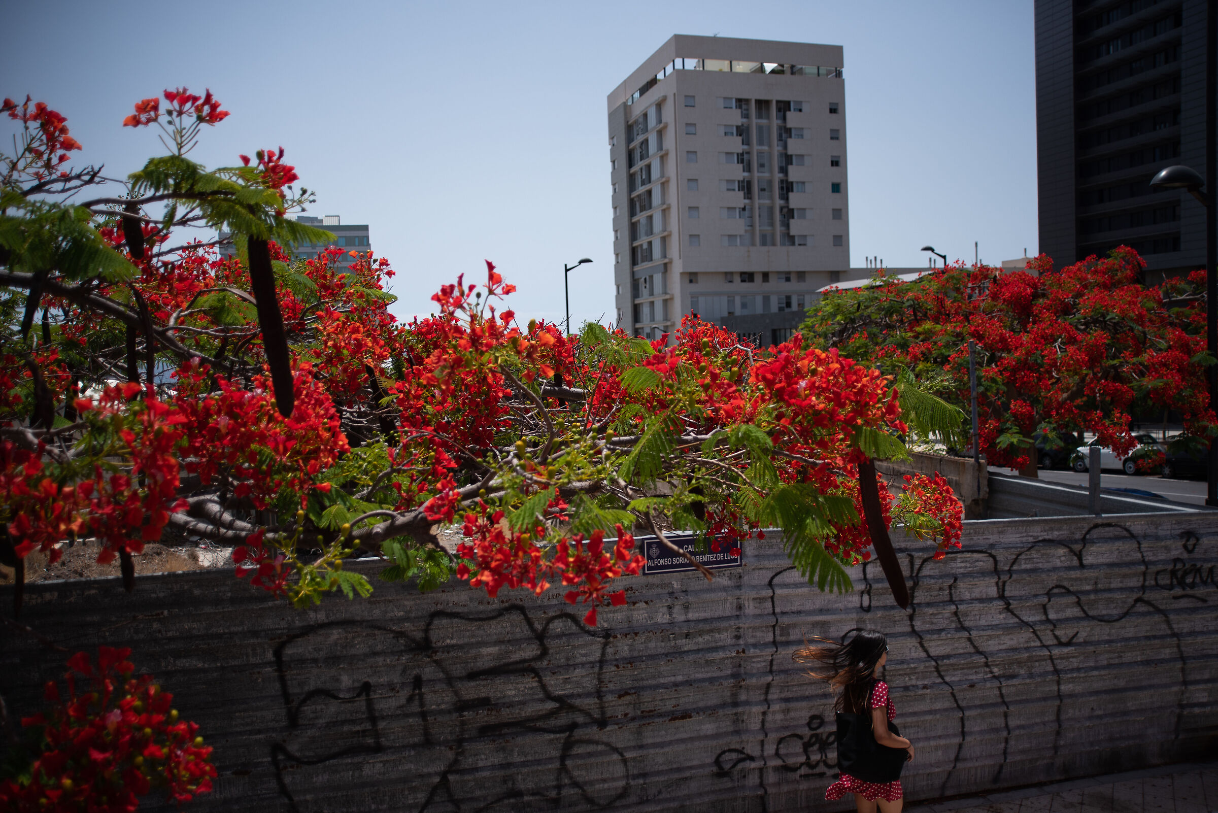 Santa Cruz - Tenerife