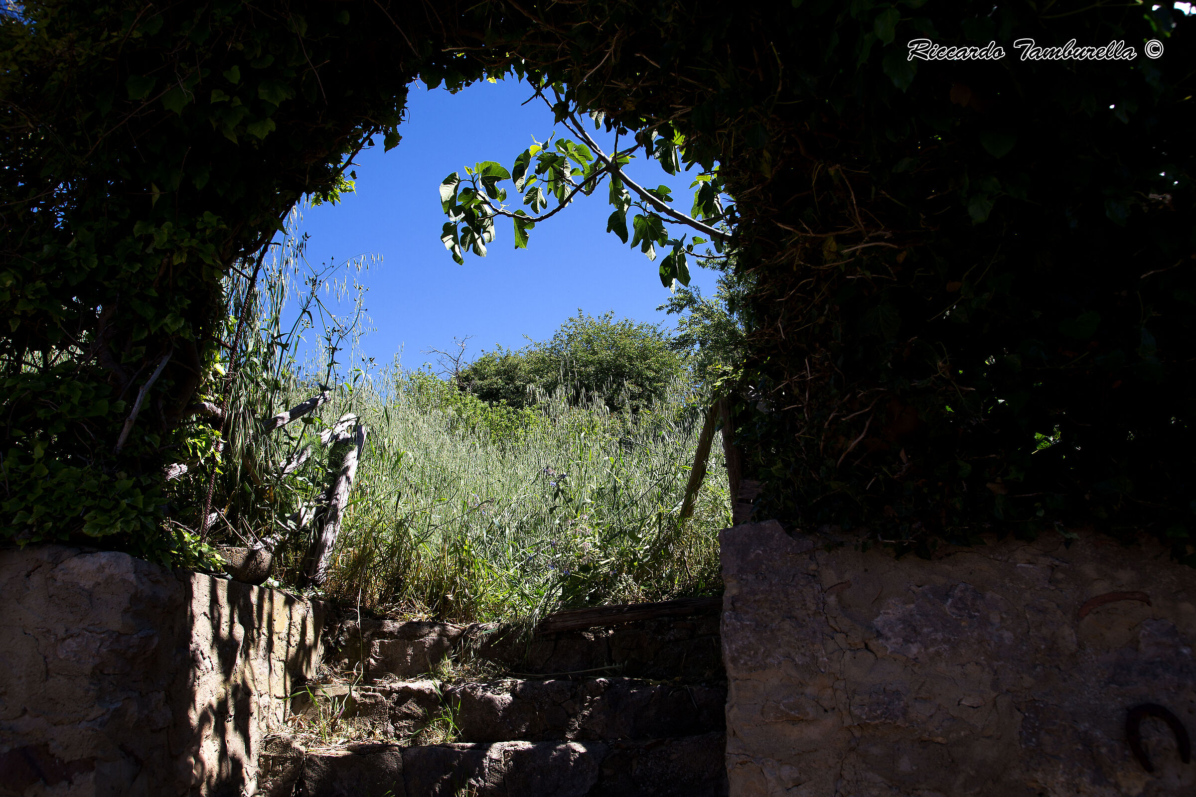 Village of Milletari