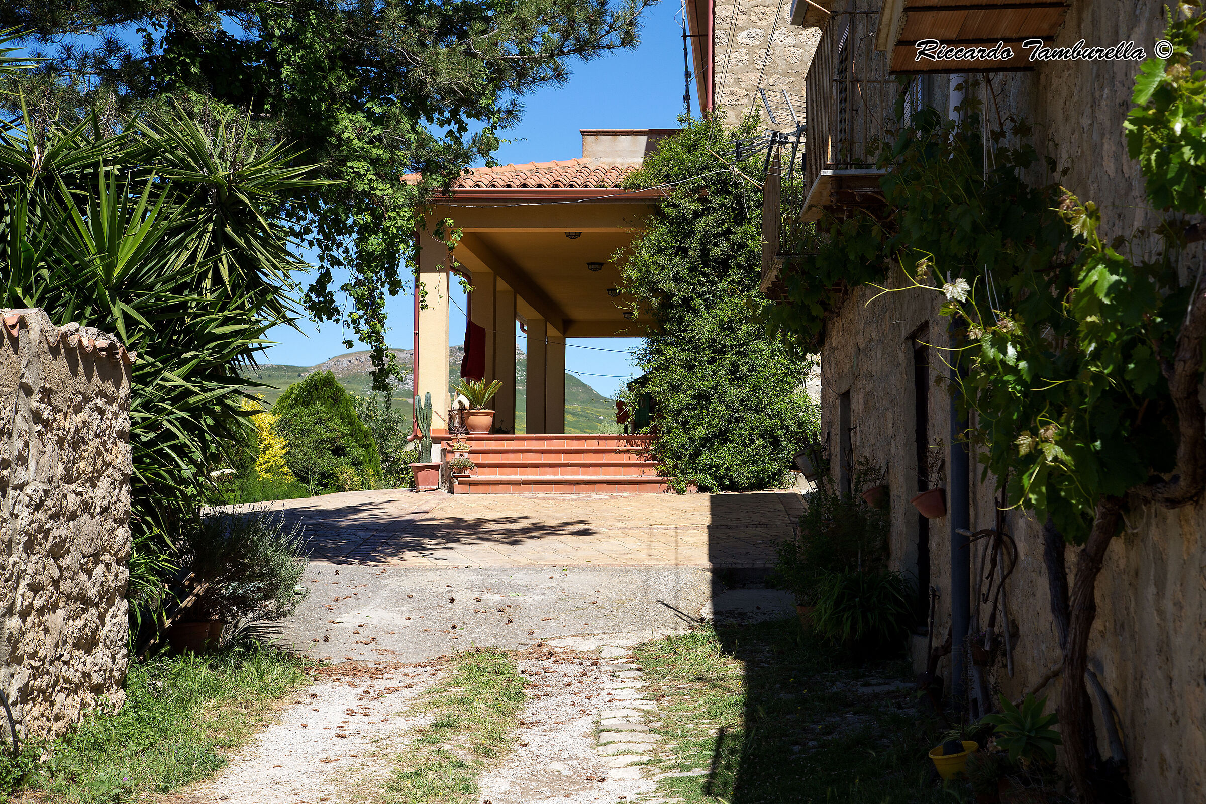 Village of Milletari