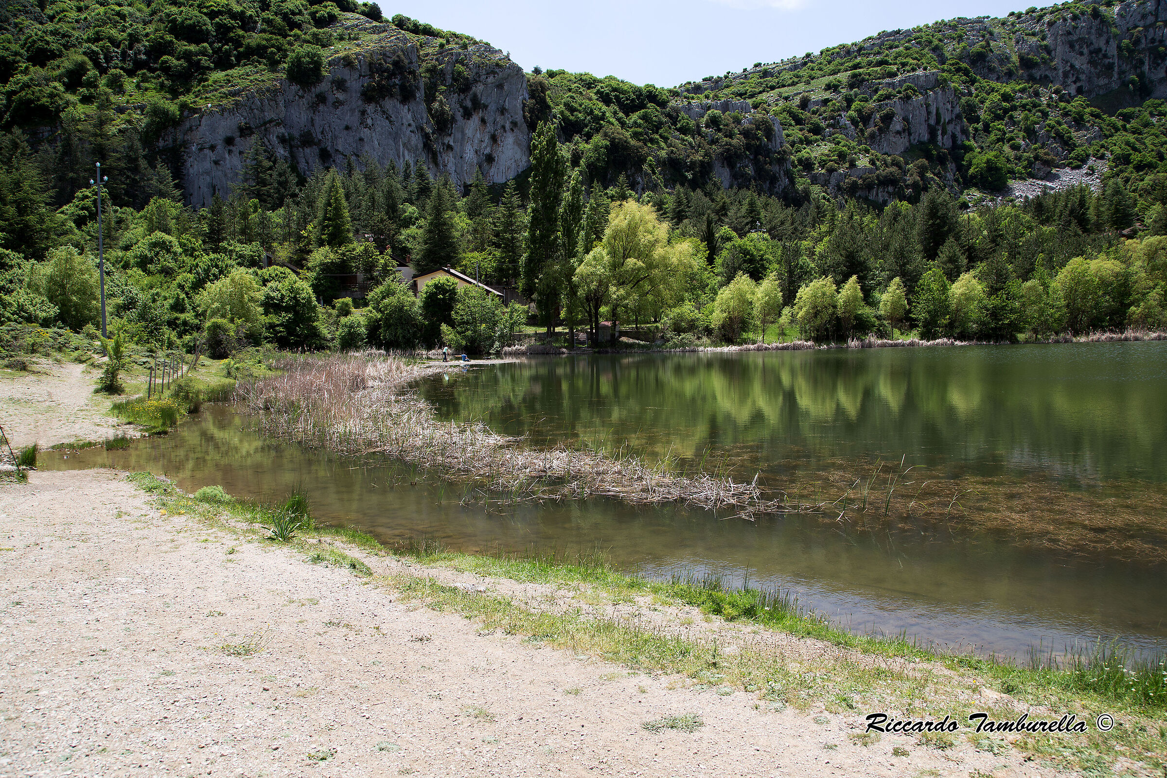 Laghetto Mandria del Conte