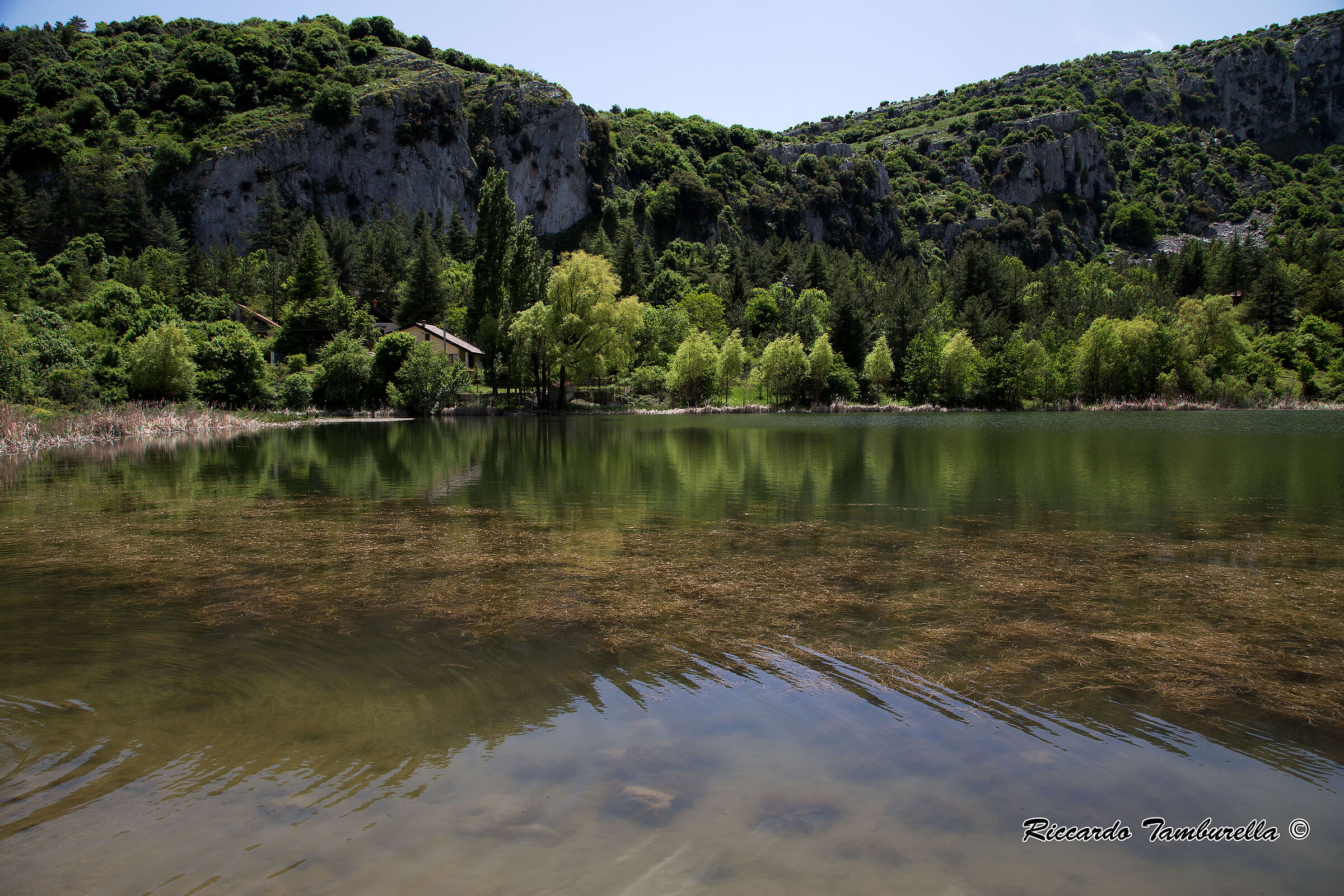 Laghetto Mandria del Conte