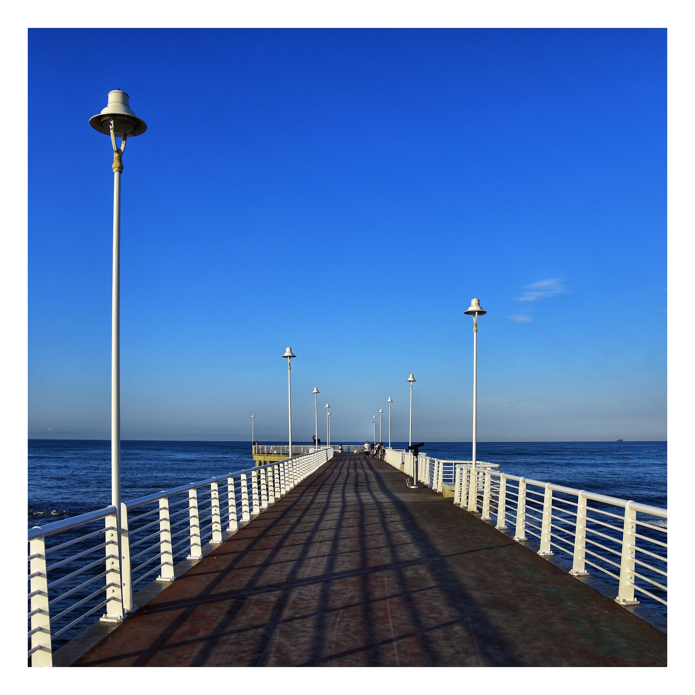 Untitled Photo