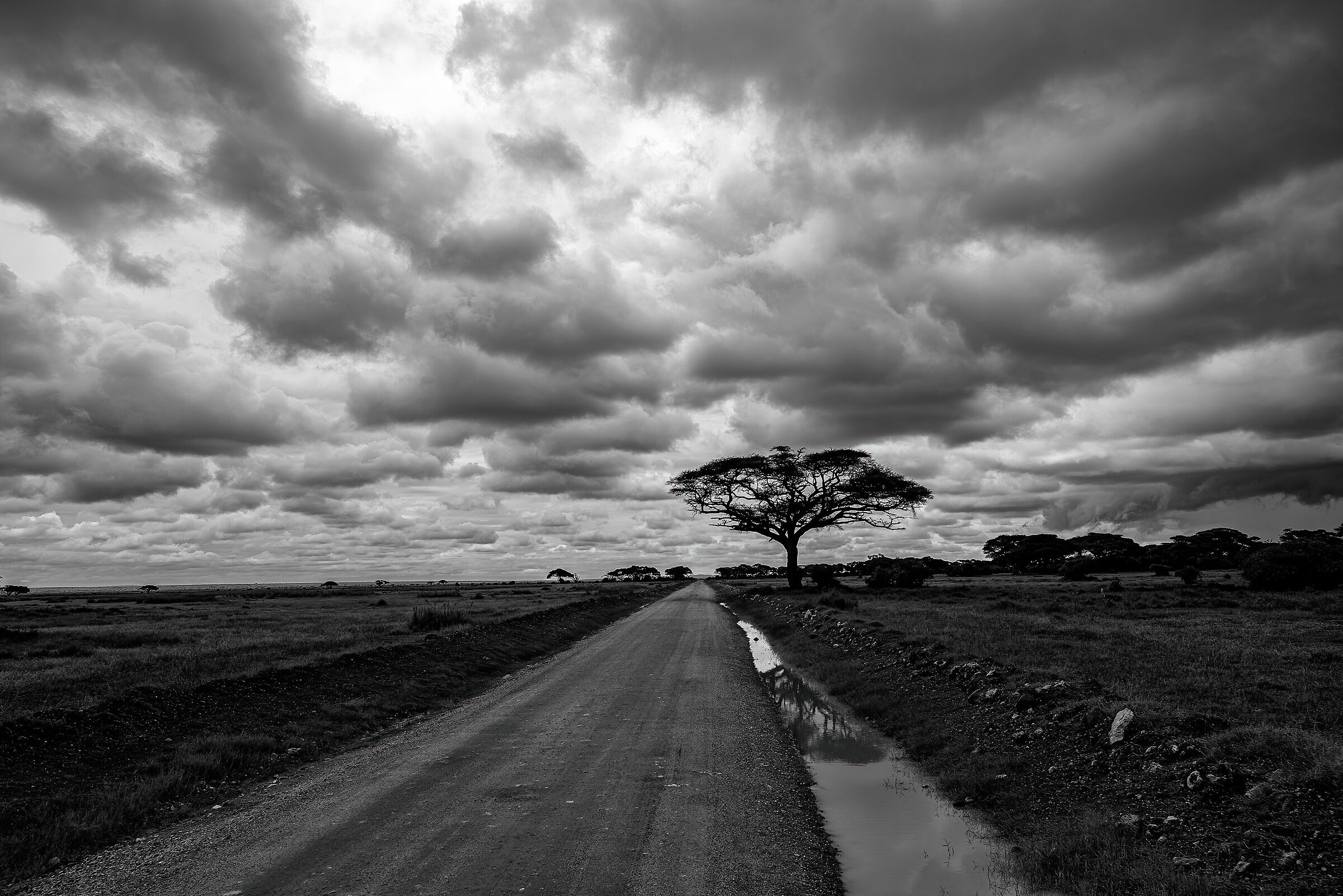 On the road of Amboseli