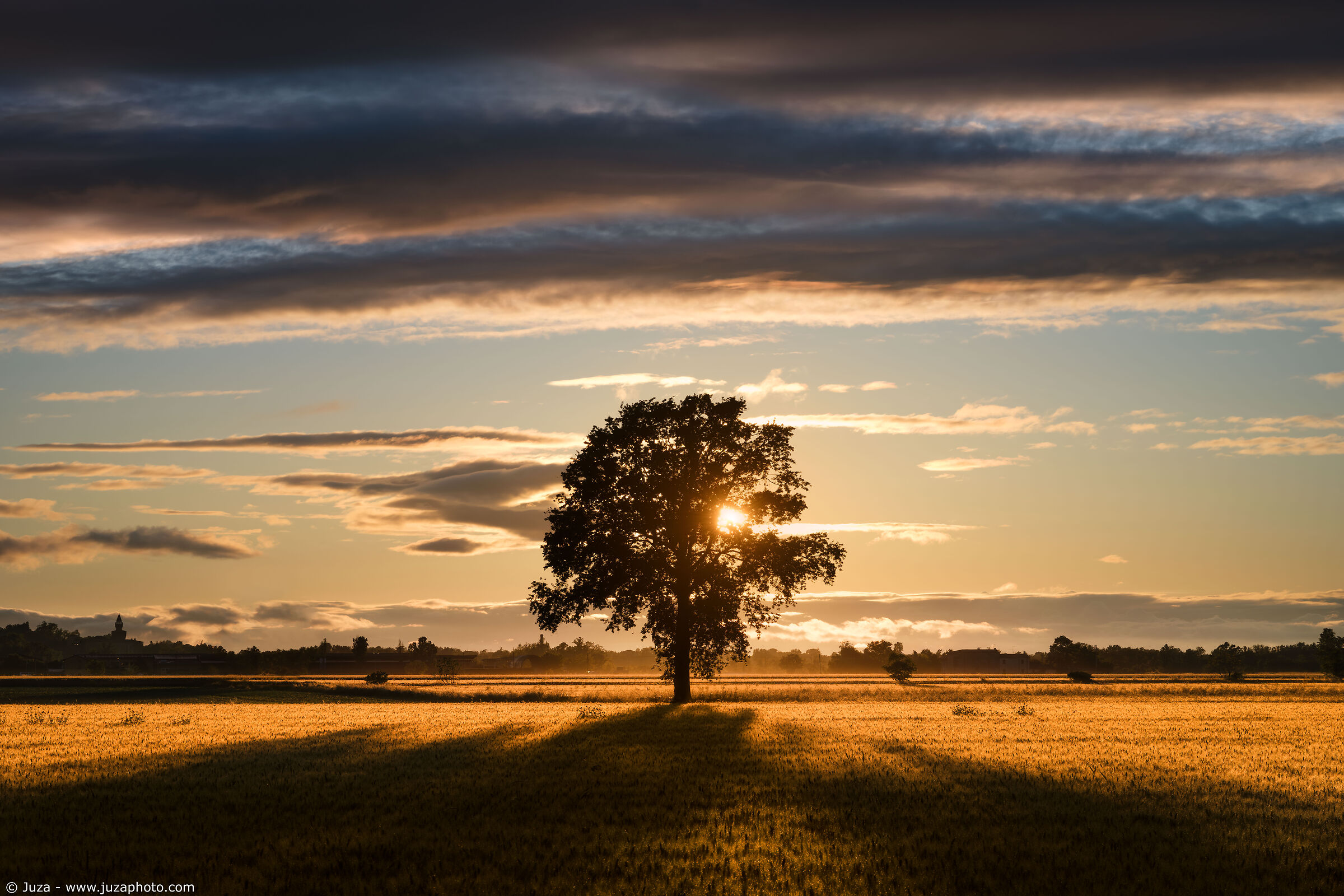 Tramonto sui campi di grano