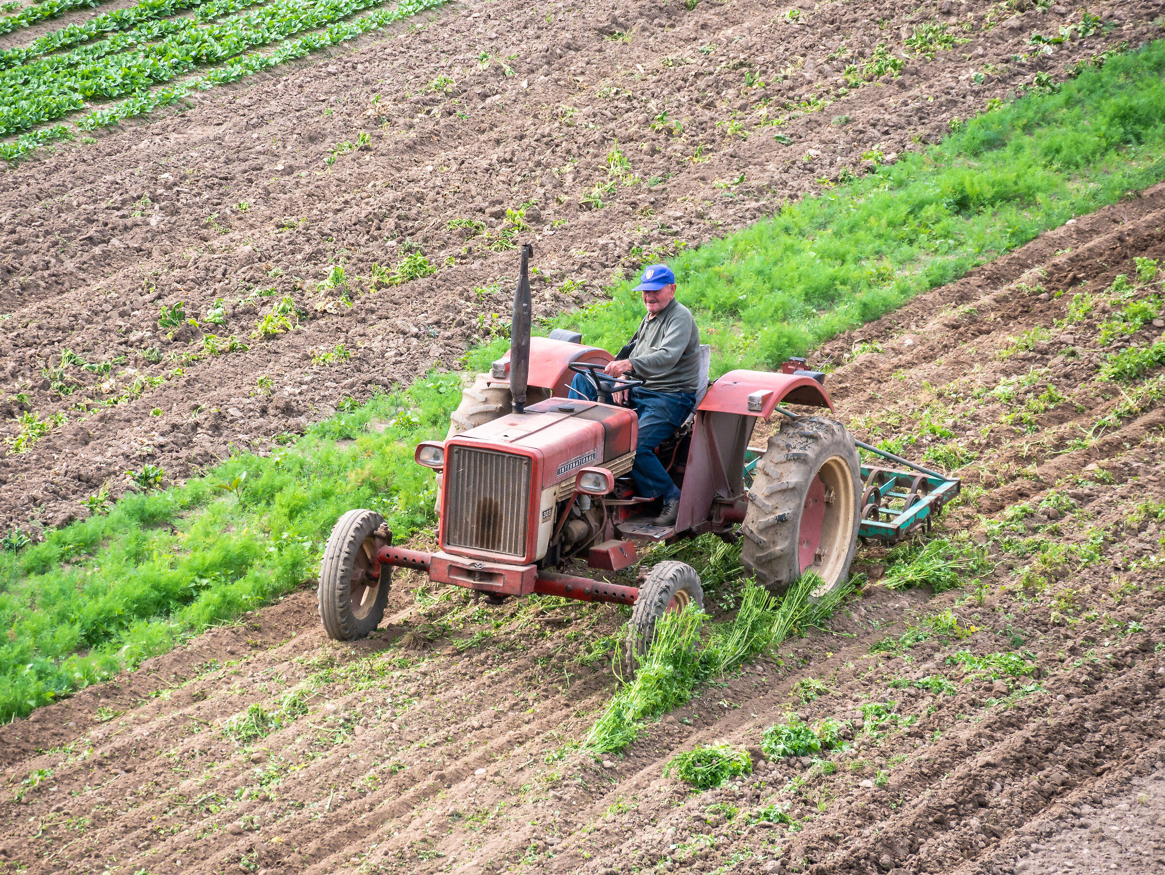 On the tractor - Cormano (MI)