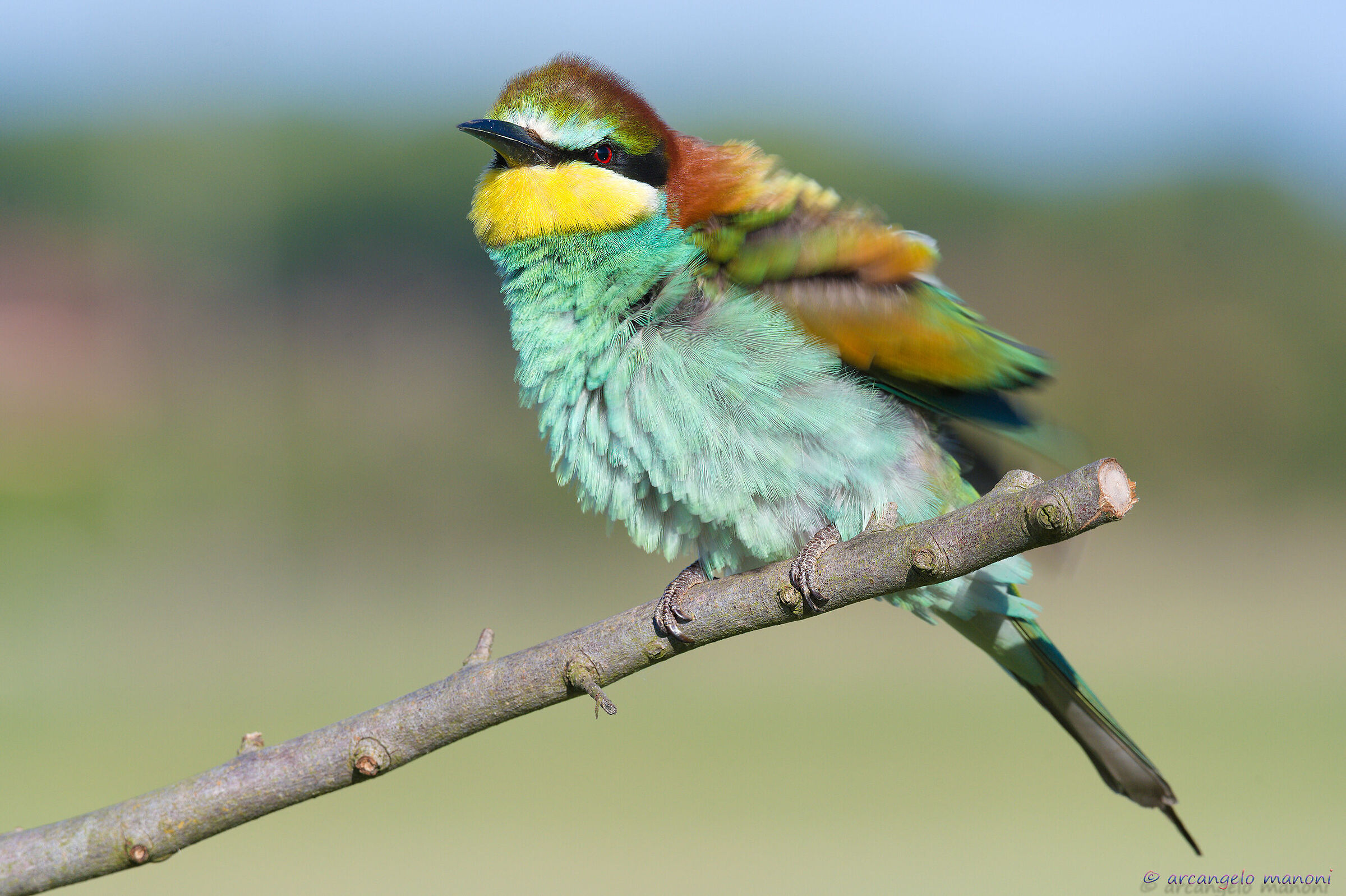 Sgrolliamoci di dosso il covid