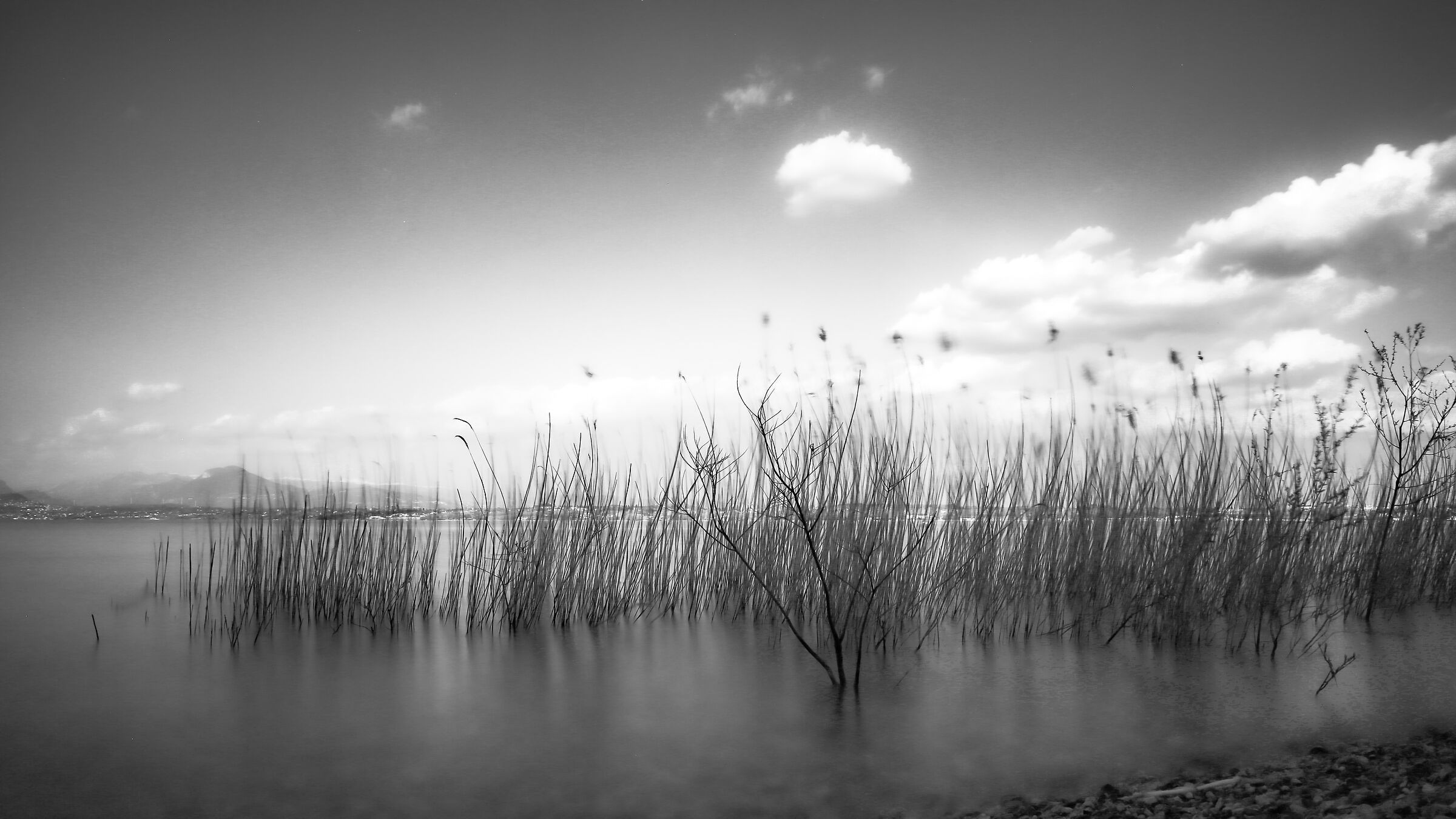Il mare calmo della sera